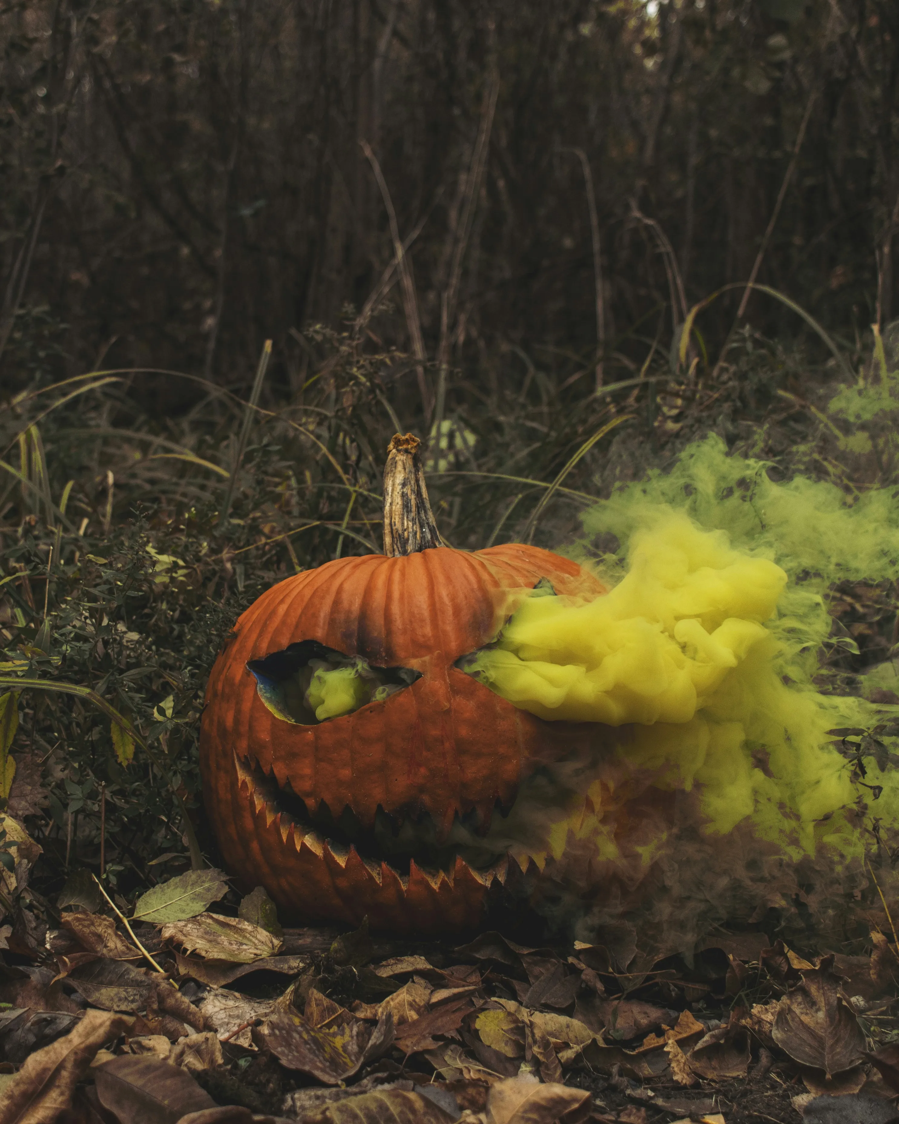 Smoky Halloween Pumpkin in Forest Setting Wallpaper HD