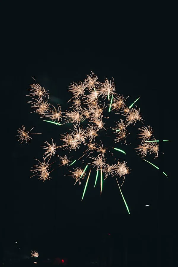 Spectacular Colorful Fireworks Bursting with Energy