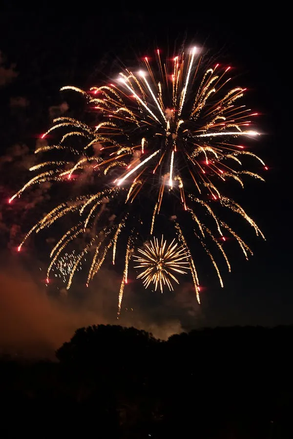 Spectacular Firework Explosion with Vibrant Colors 4K