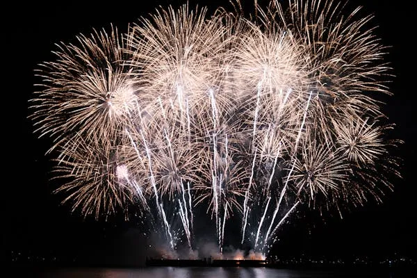 Spectacular Fireworks Lighting up the Waterfront 4K image