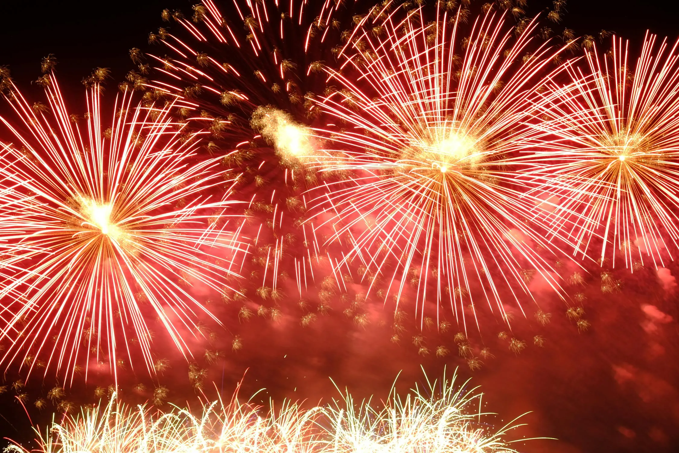 Spectacular Red Fireworks Illuminating the Evening Sky