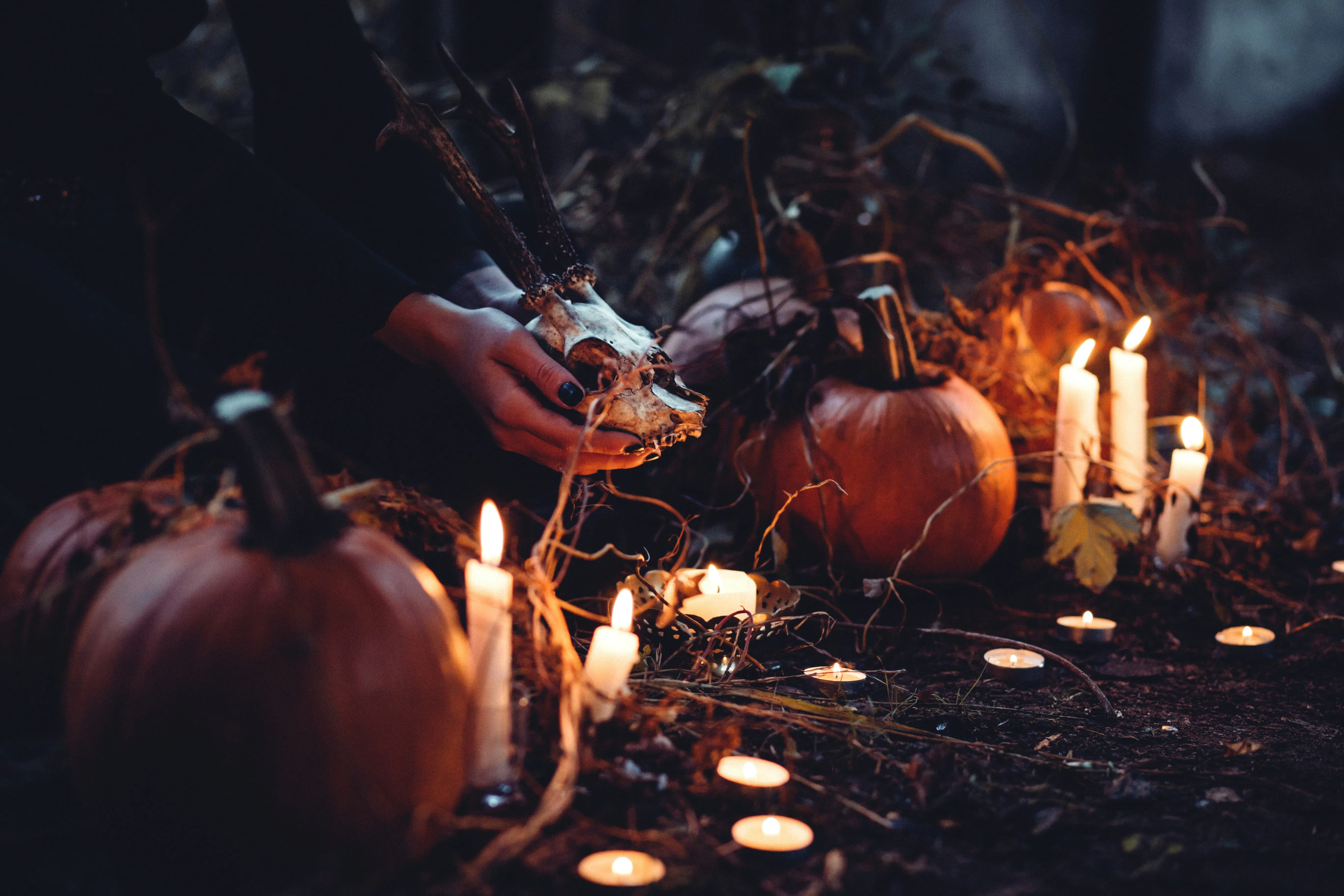 Spooky Halloween Night with Candles and Pumpkins Image HD