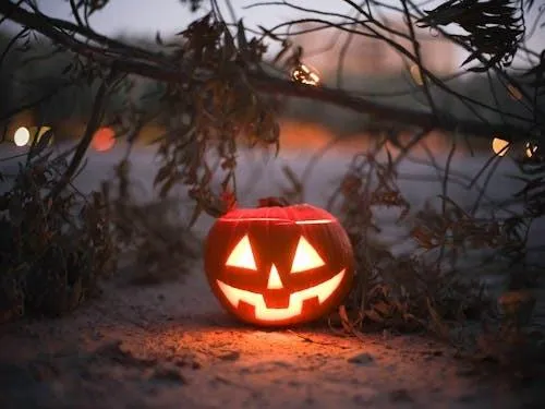 Spooky Halloween Pumpkin Glowing in the Night Wallpaper
