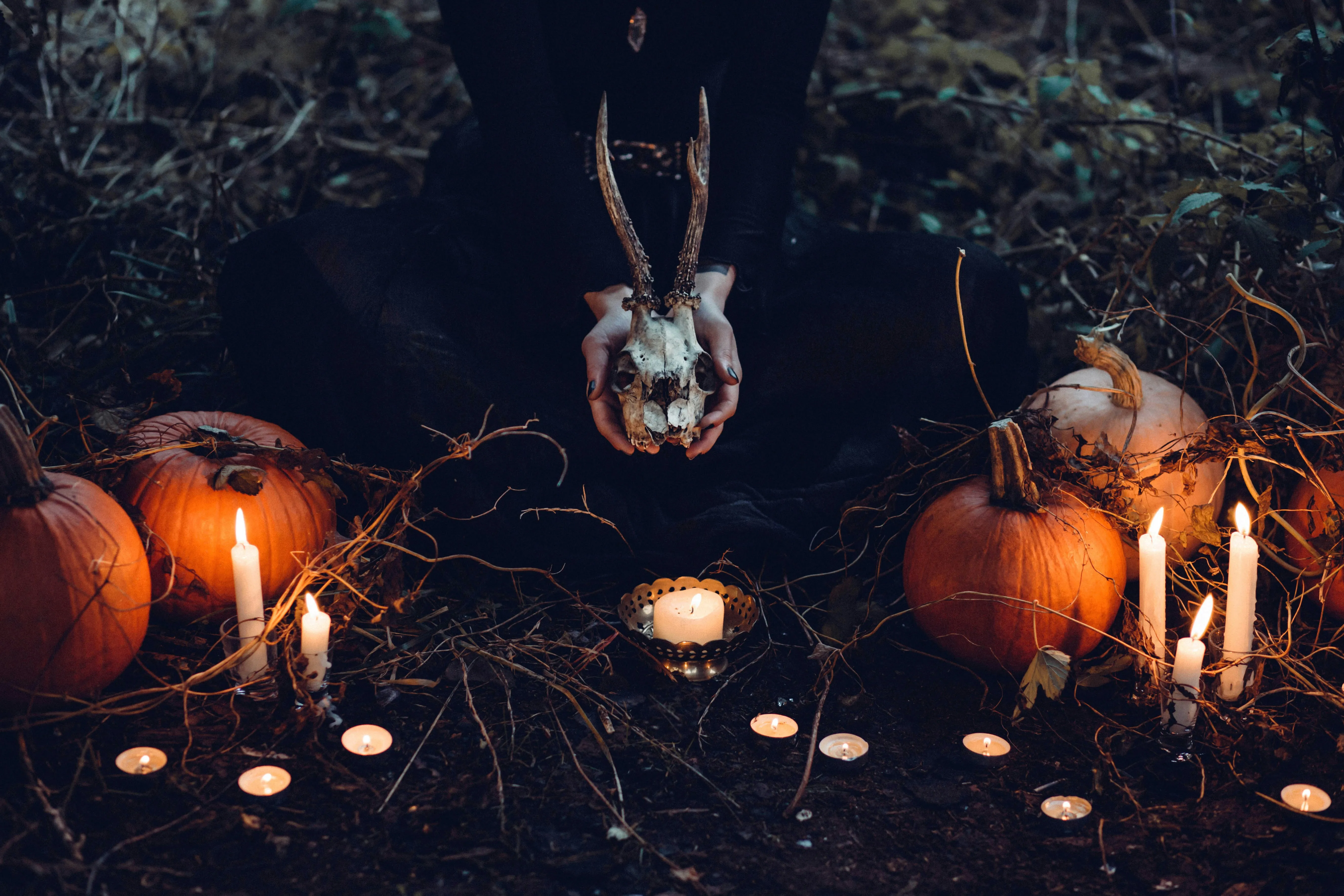 Spooky Pumpkin Display with Candles in The Forest Image