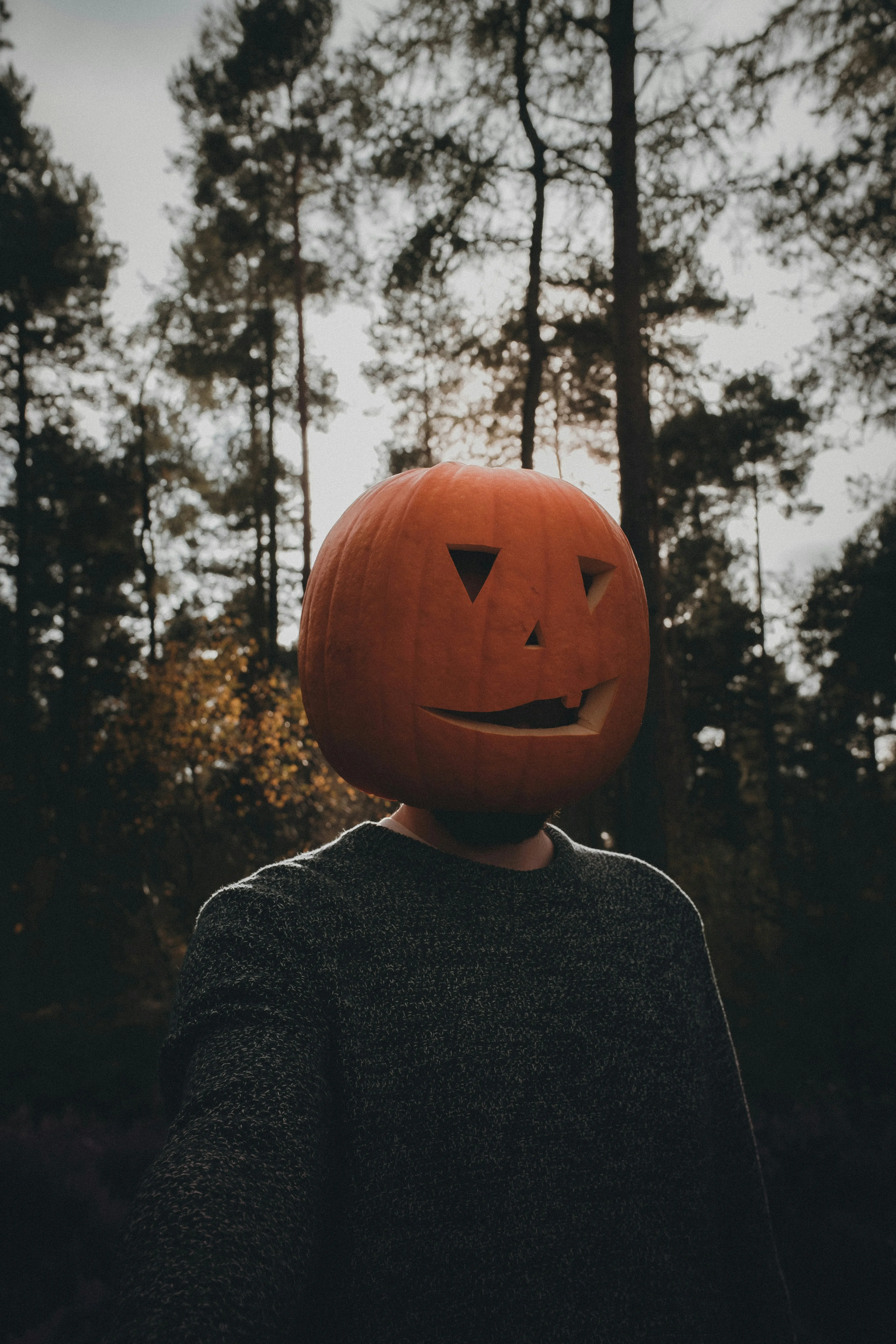 Spooky Pumpkin Head Costume in Forest Halloween Scene HD