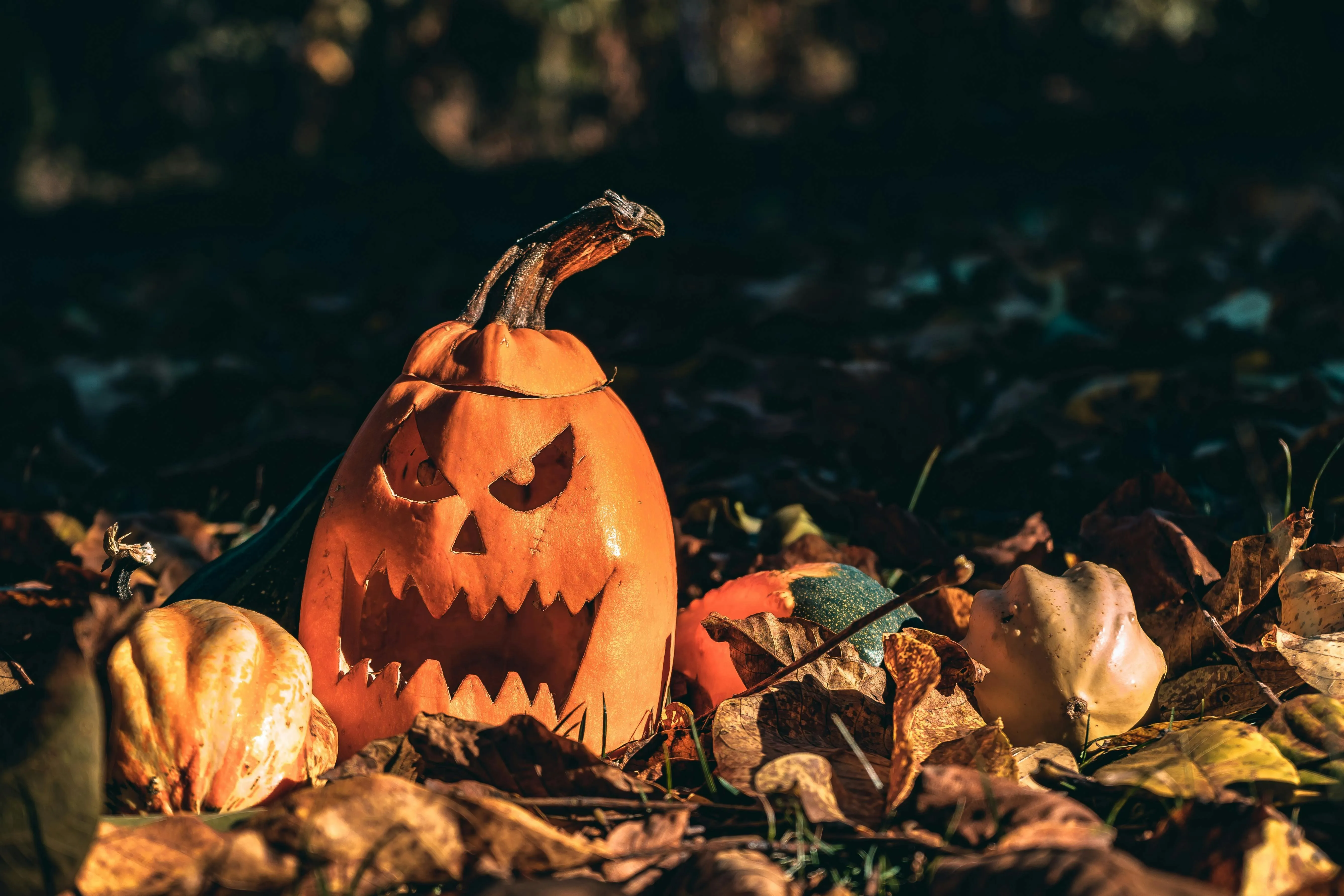 Spooky Pumpkin Sitting Among Autumn Leaves Outdoors Image