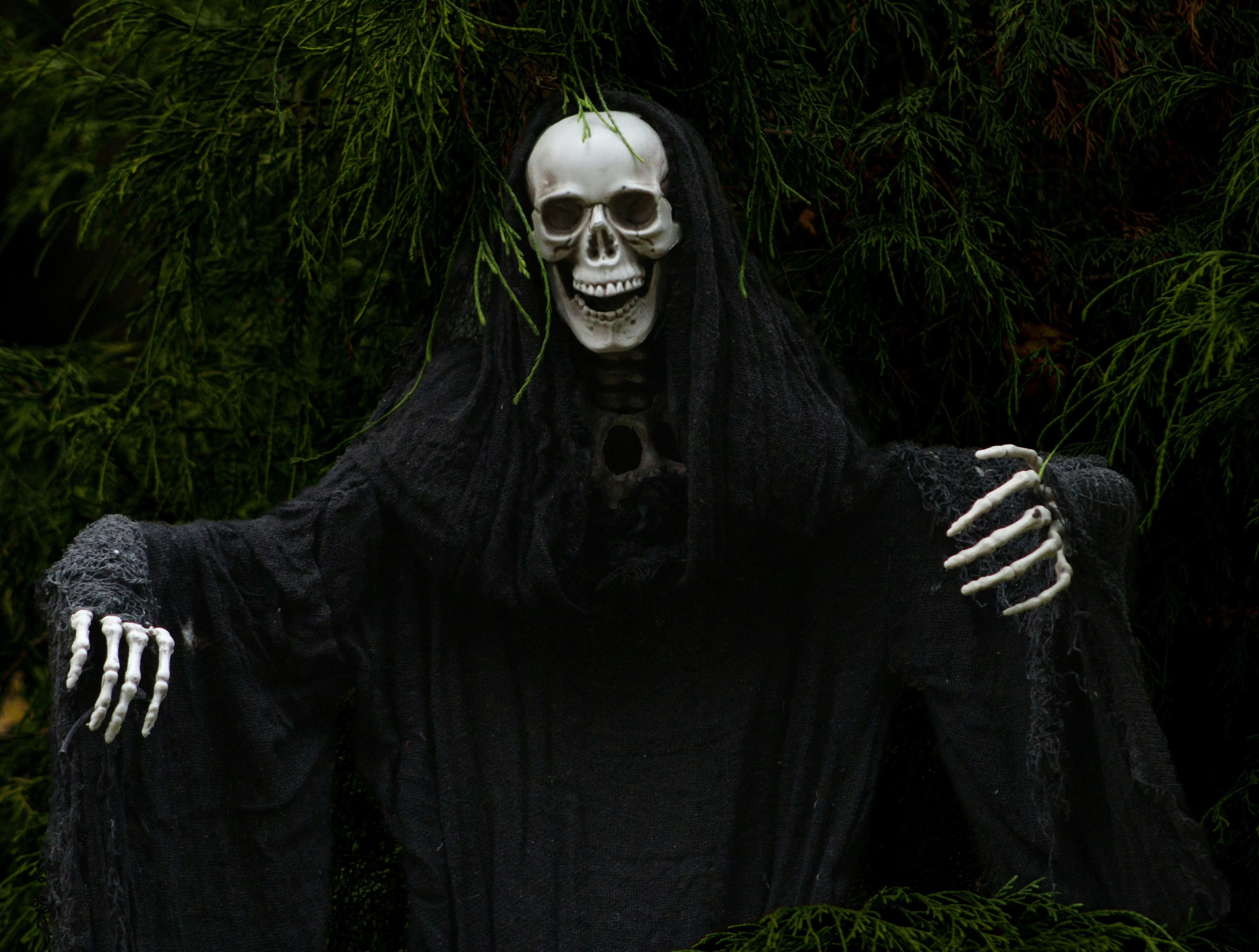 Spooky Skeleton Costume Figure in Forest at Night image