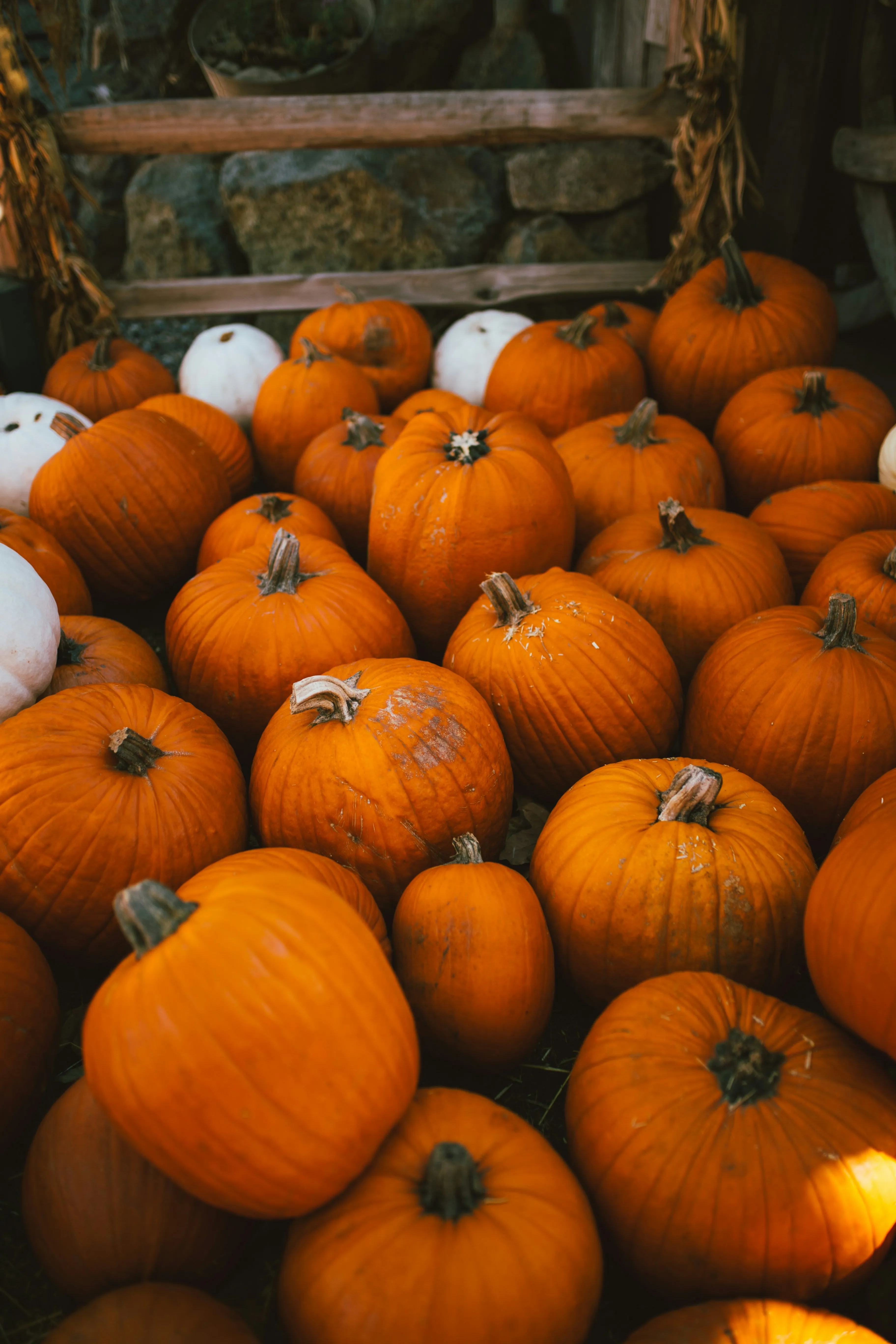Stack Of Bright Orange Pumpkins at Harvest Market Image