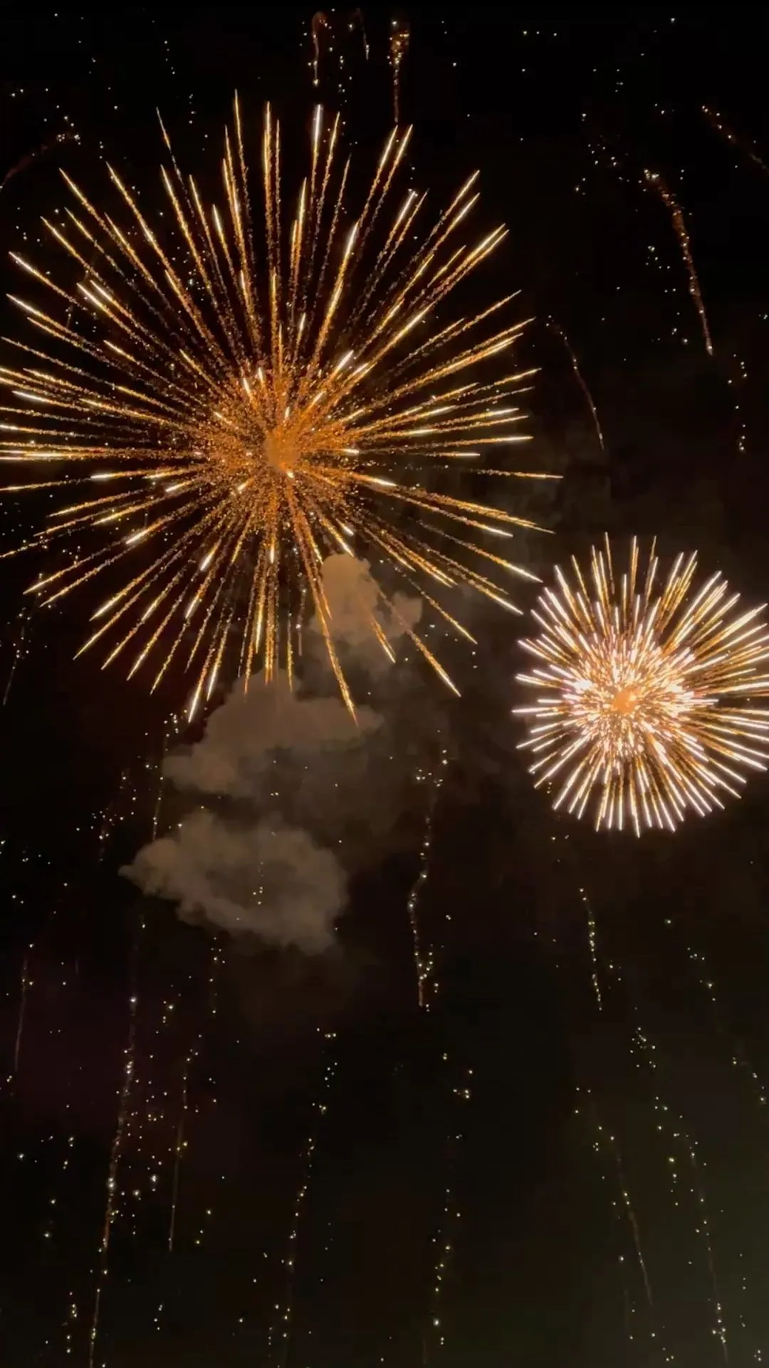 Striking Colorful fireworks exploding against a dark sky