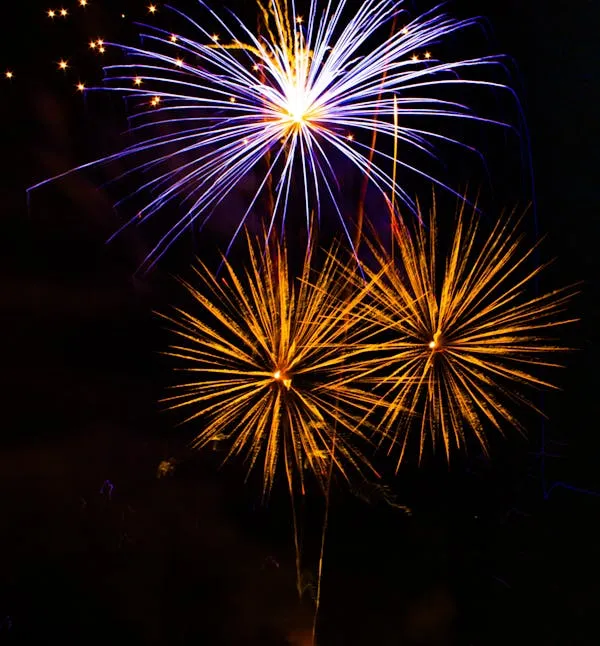 Stunning colorful fireworks lighting up the night sky