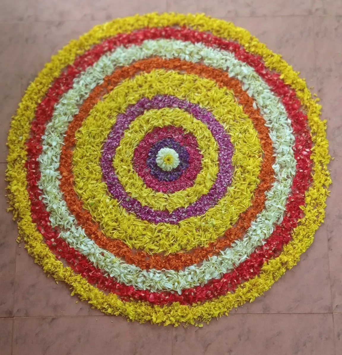 Stunning concentric circle pookolam with multiple colours