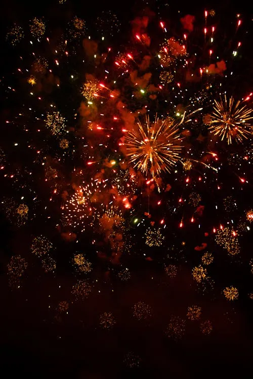 Stunning Festive Fireworks Sparkling in the Night Sky HD