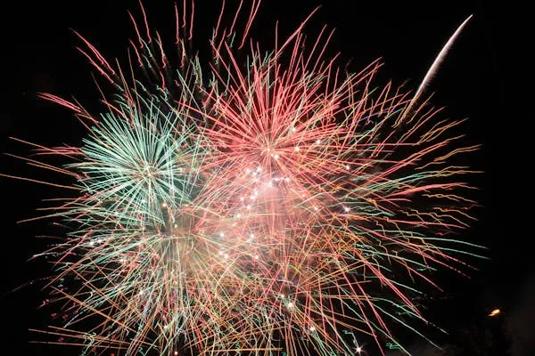 Stunning Firework Show with Bright Color Contrasts