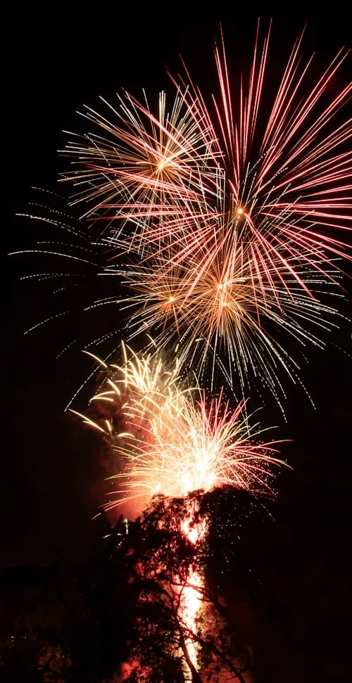 Stunning Fireworks Display Lighting up The dark Sky 4K image