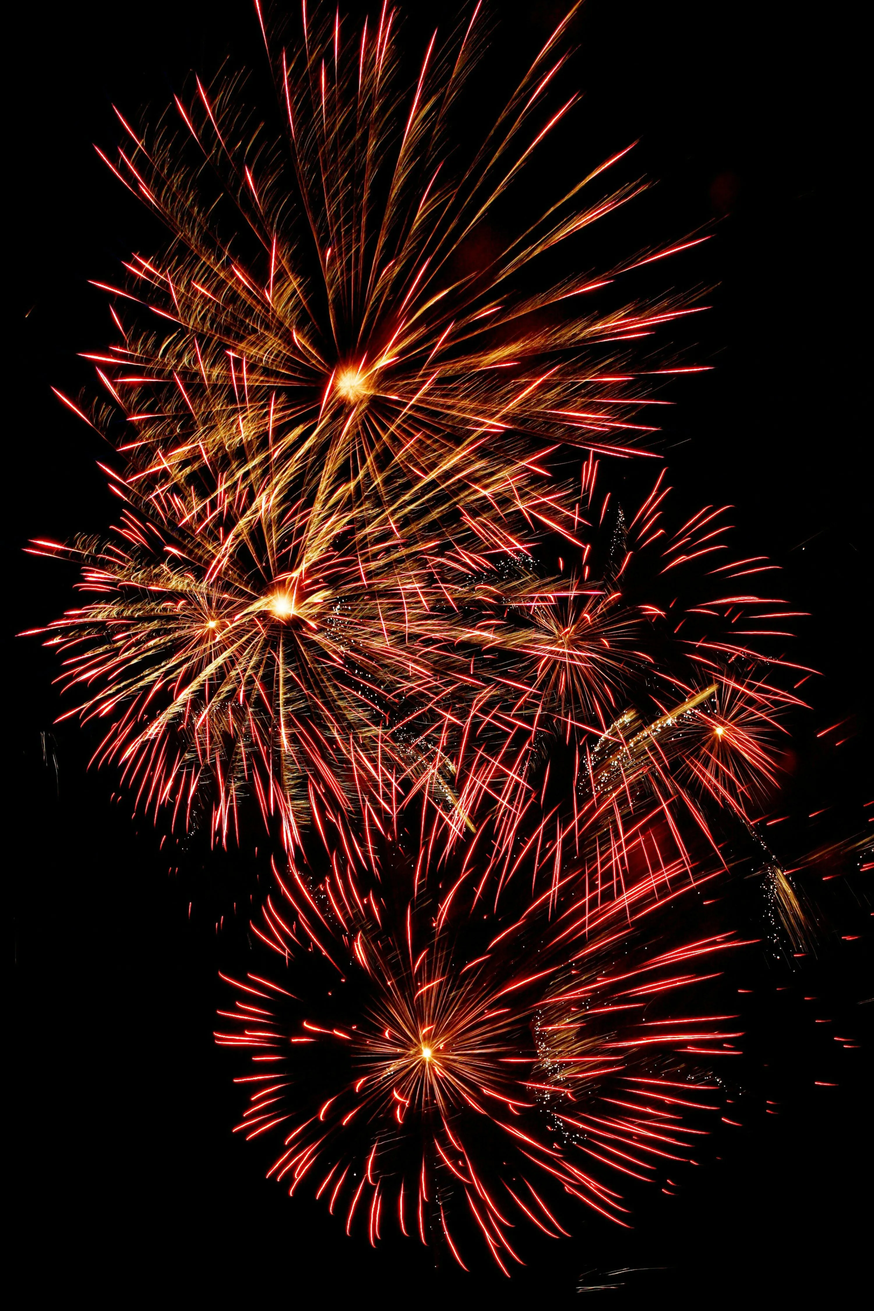 Stunning fireworks display lighting up the sky above the city