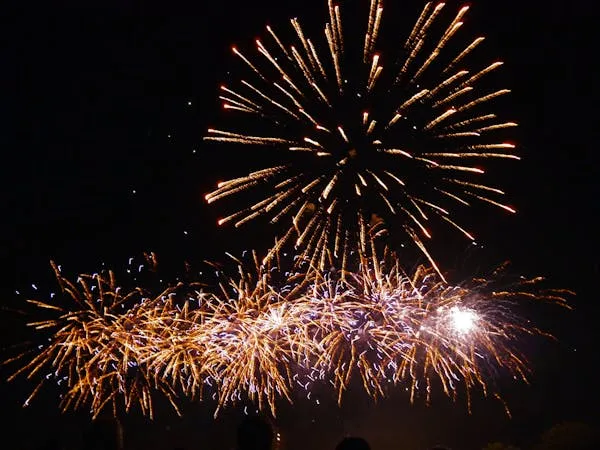 Stunning fireworks display with a variety of colors image