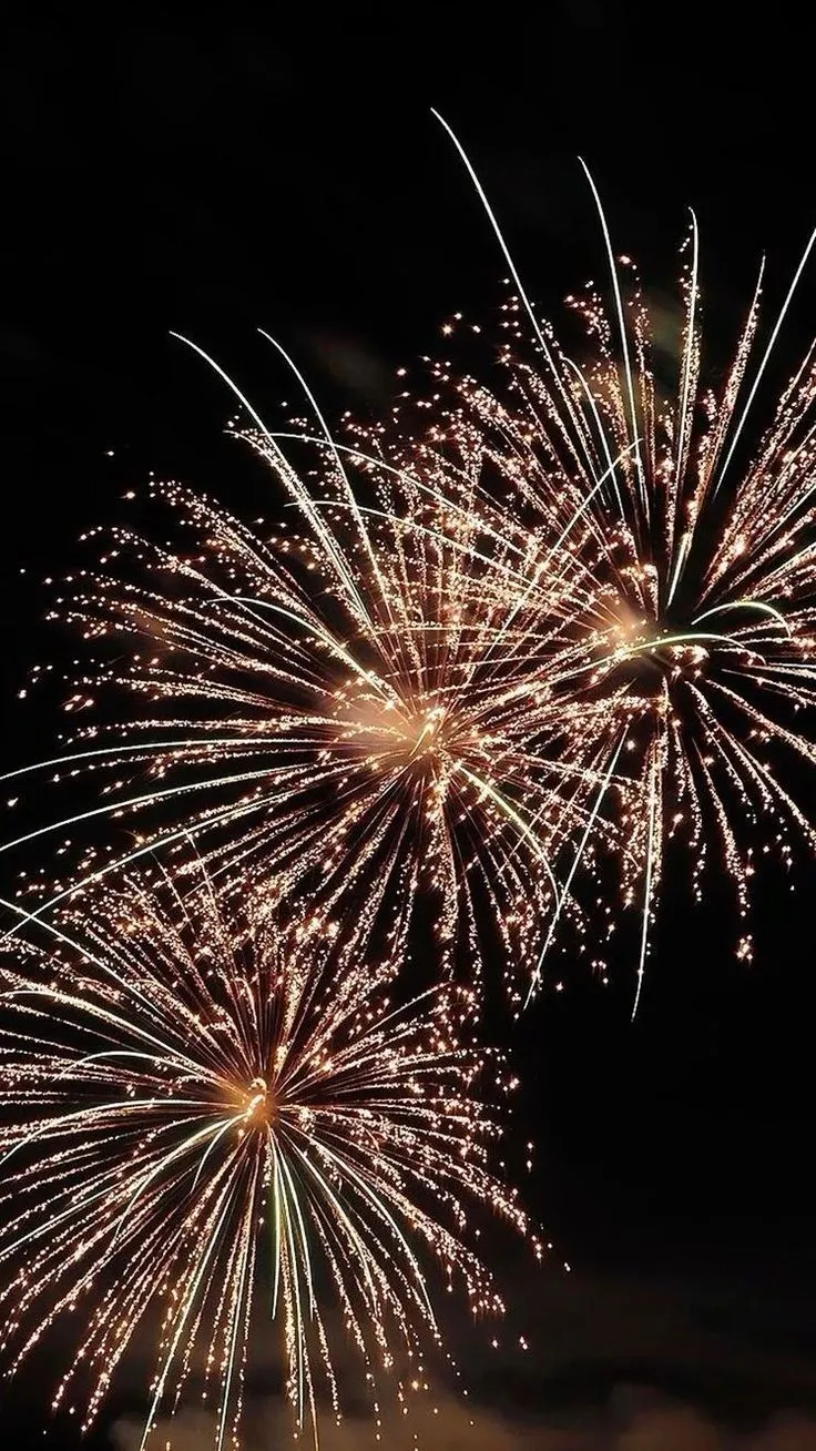 Stunning fireworks in the night sky with sparkling lights