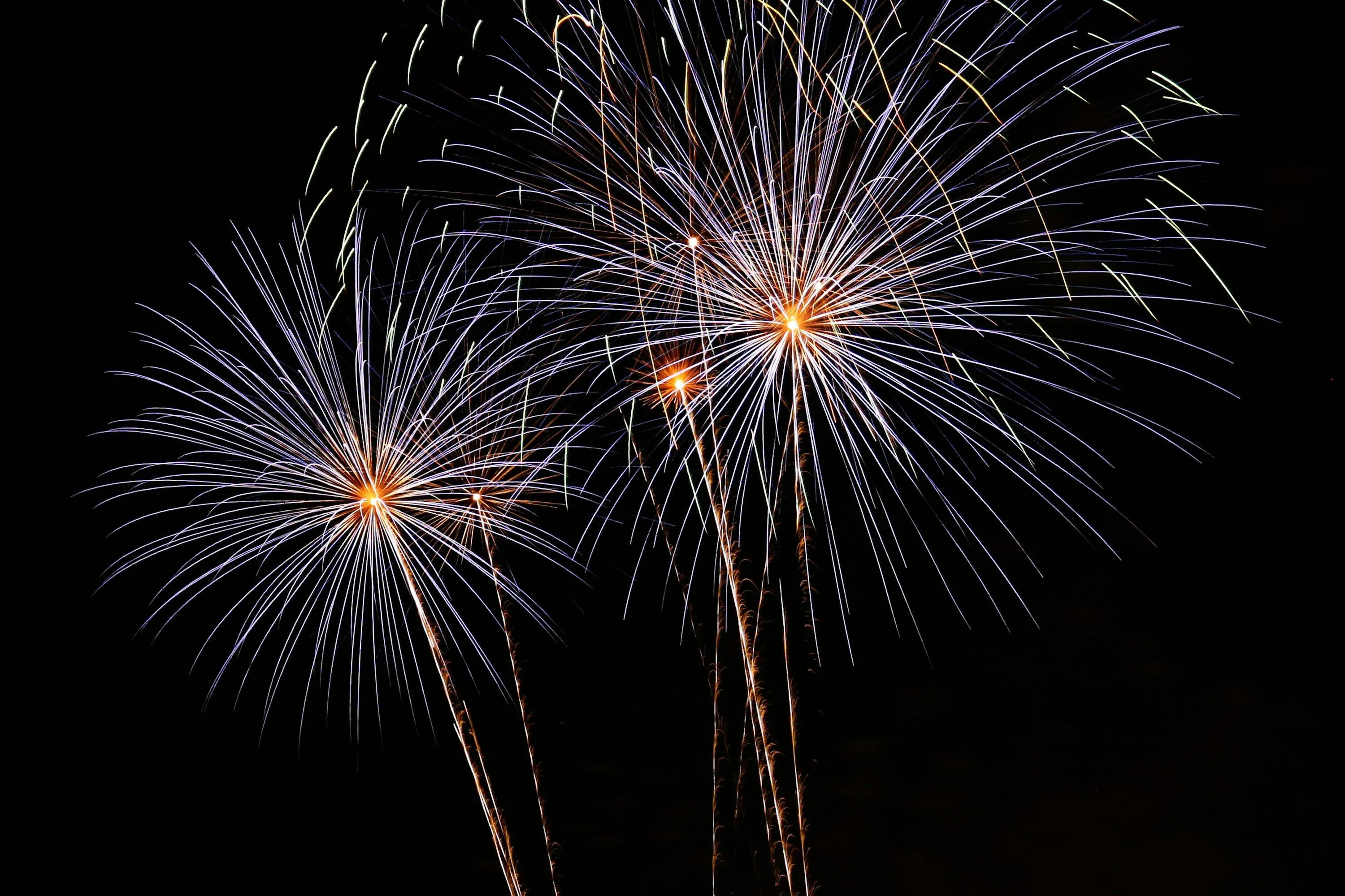 Stunning fireworks lighting up the sky in a colorful burst