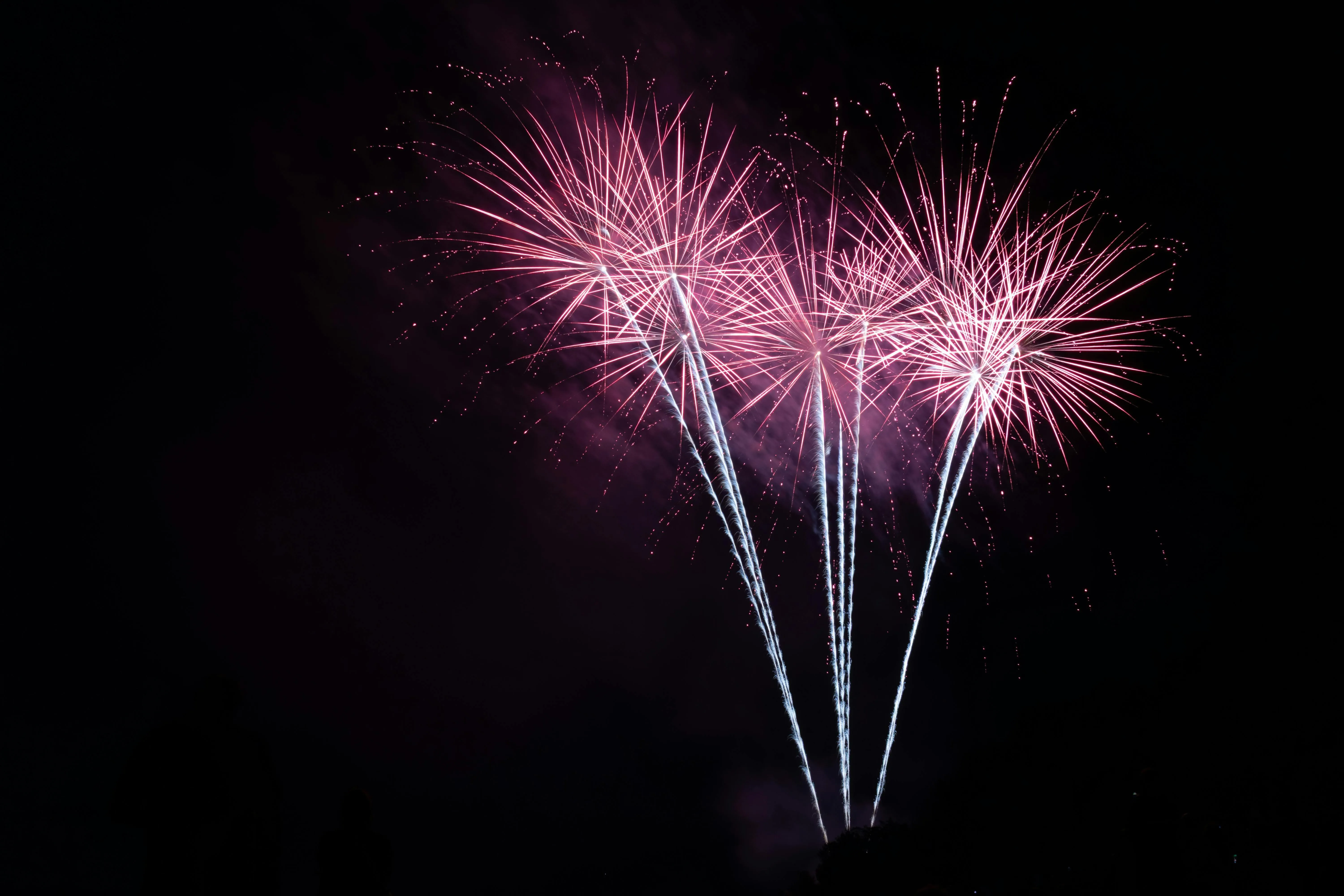 Stunning fireworks with pink hues lighting up the sky