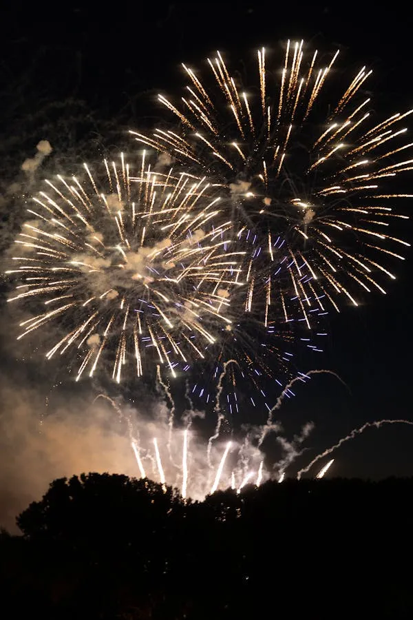 Stunning Multicolor Fireworks Burst Across The Dark Night Sky