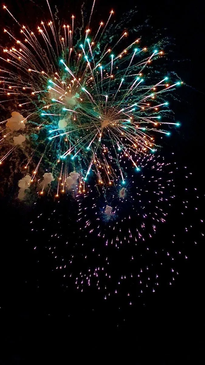 Stunning red and gold fireworks lighting the night sky