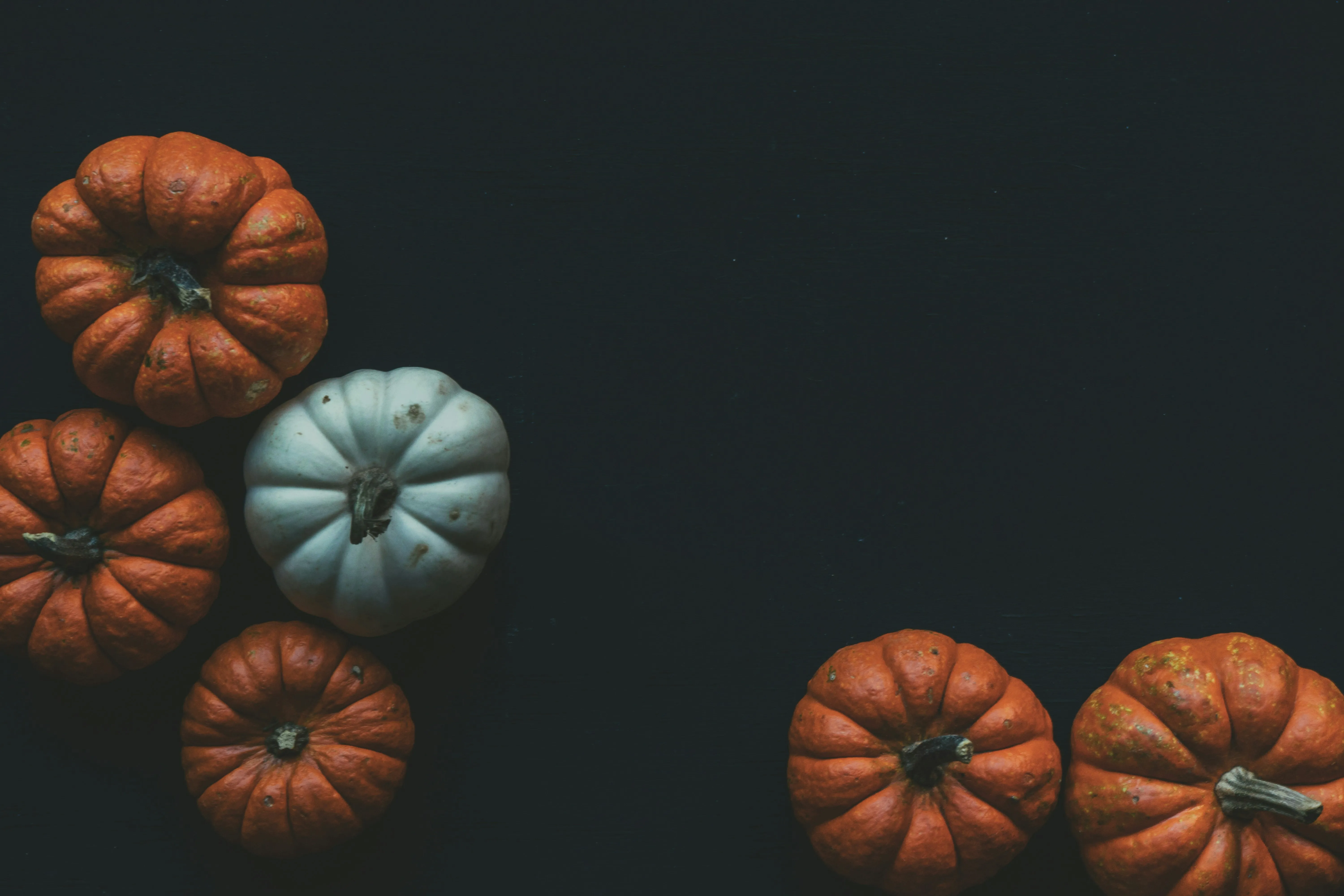 Stylish Mini Halloween Pumpkins on Black Background Image