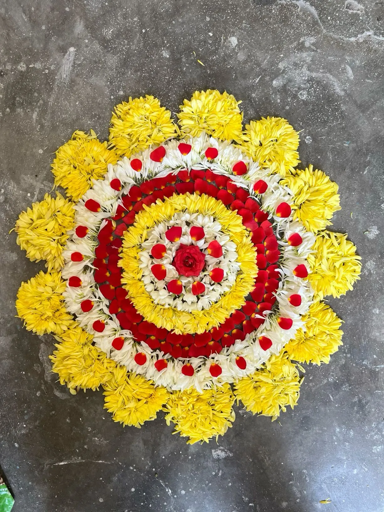 Sunflower design pookolam with red and white details image