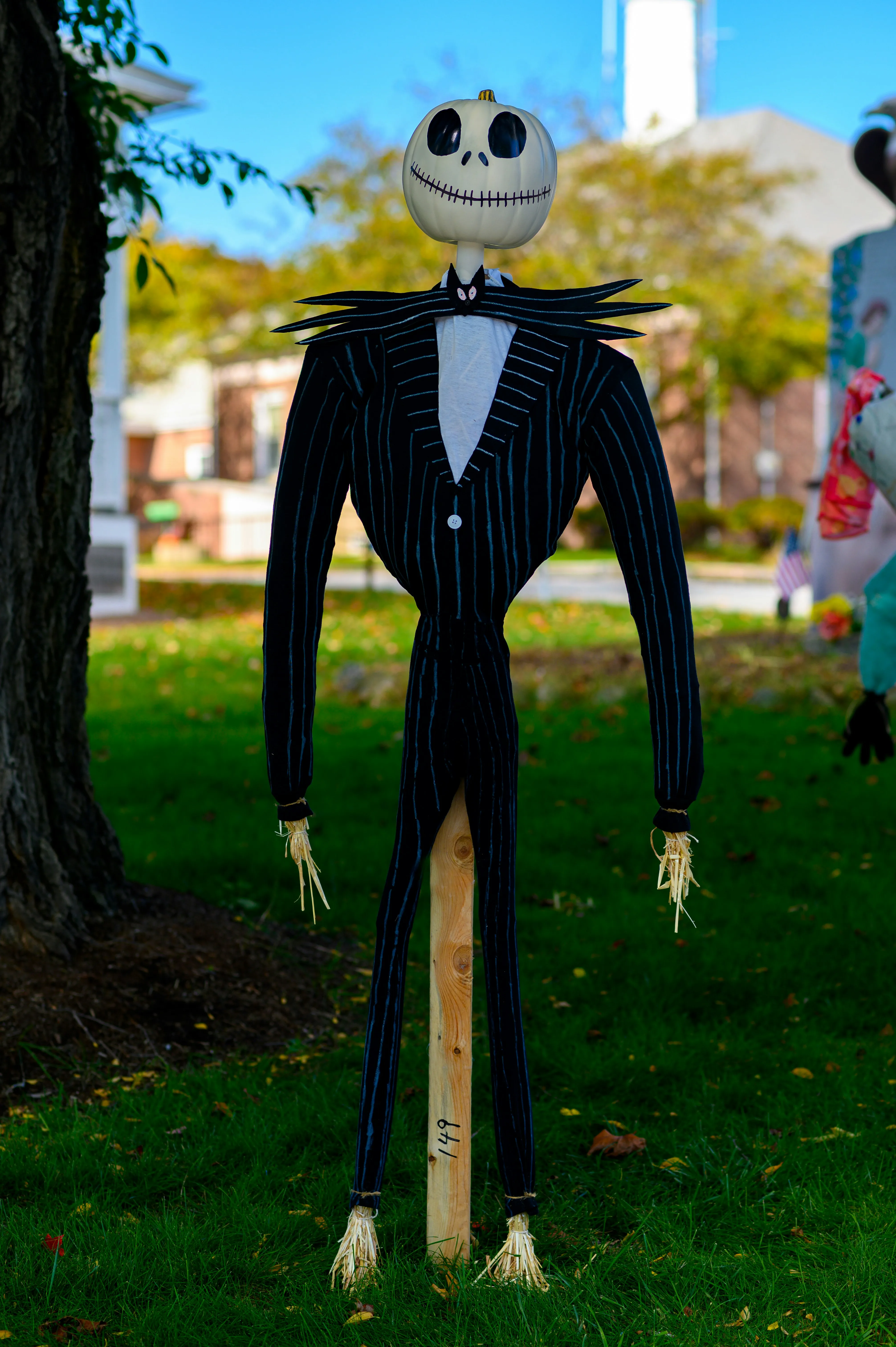 Tall Halloween Skeleton Decoration in Outdoor Yard Wallpaper