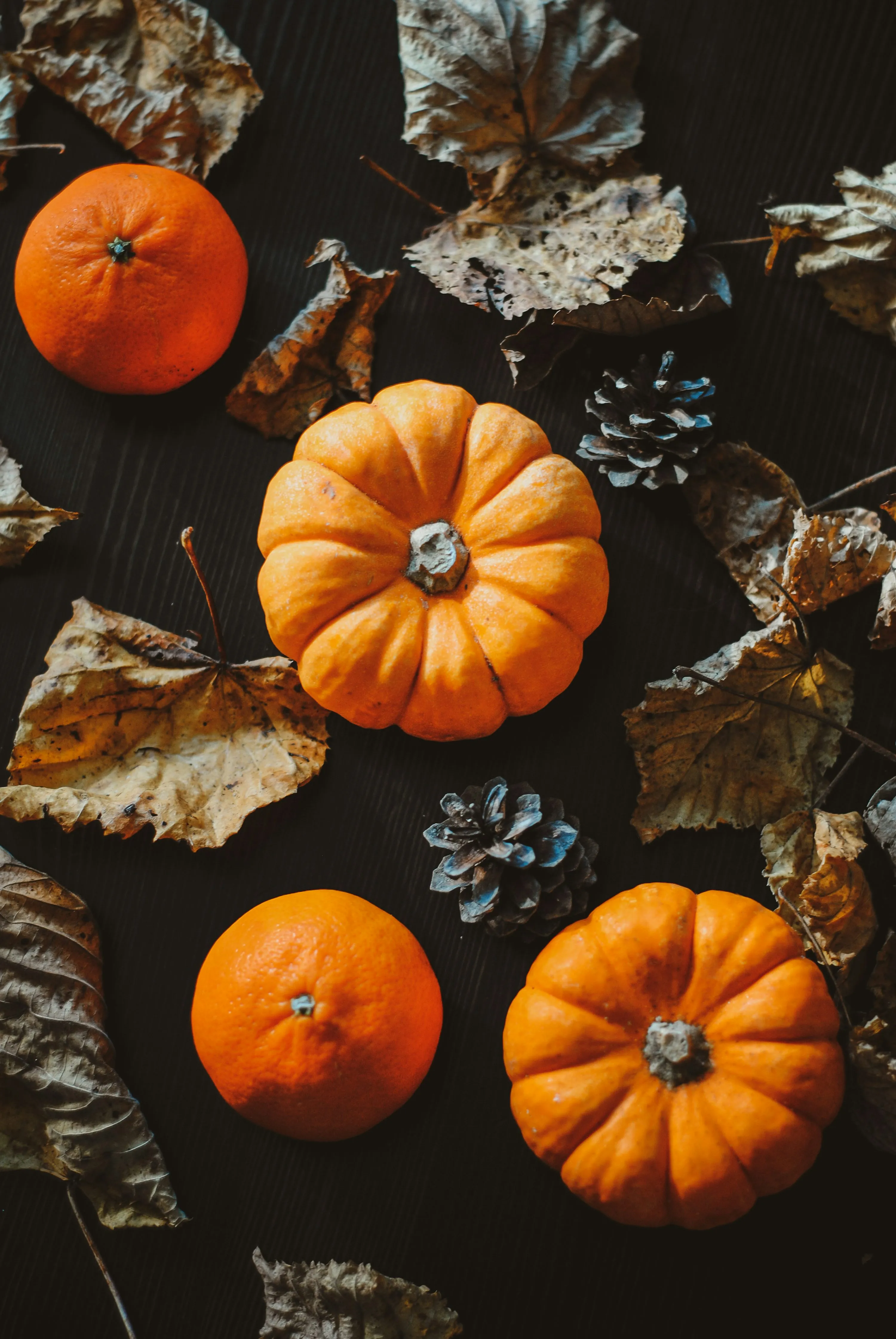 Top View Of Small Pumpkins and Autumn Leaves Wallpaper