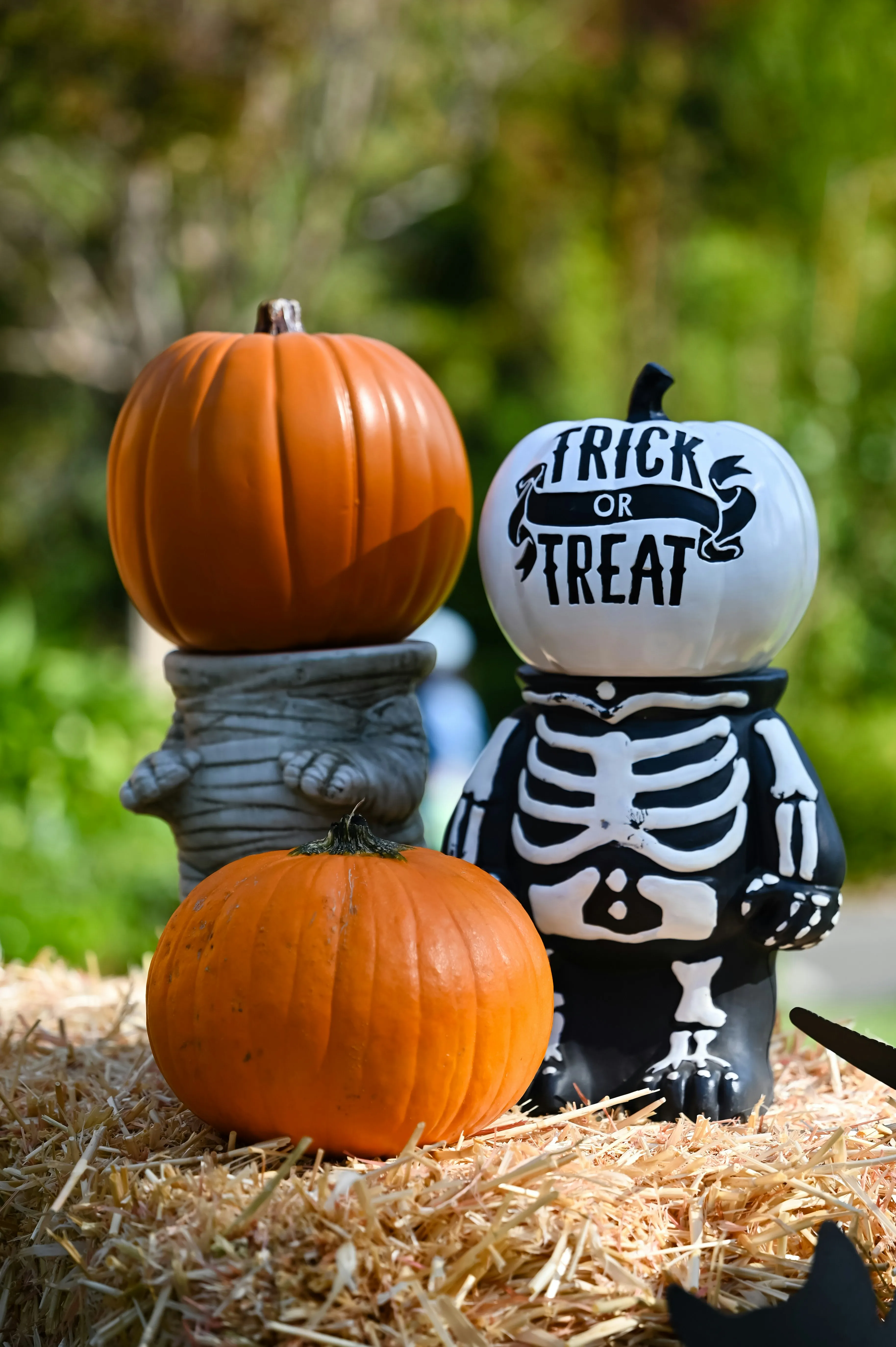 Trick Or Treat Skeleton with Pumpkins on Straw Wallpaper