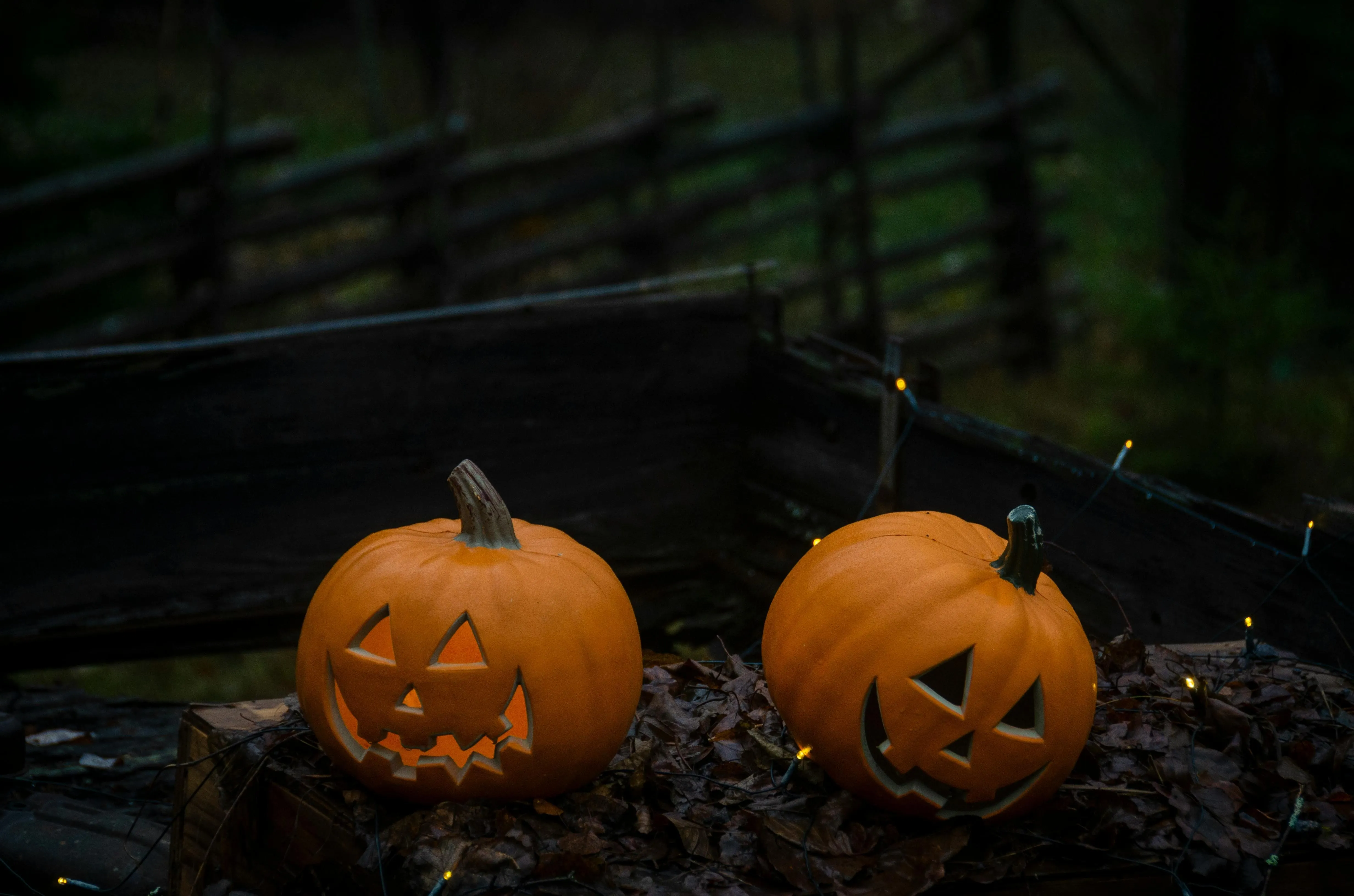 Two Carved Pumpkins Glowing on Fence at Night Image HD