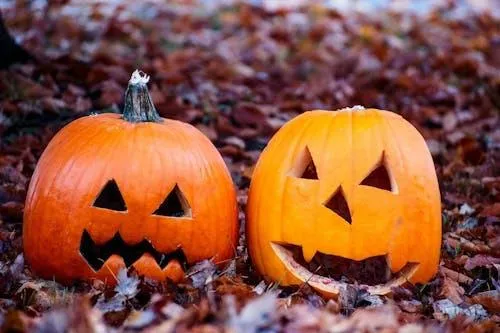 Two Carved Pumpkins with Smiling Faces on Fallen Leaves