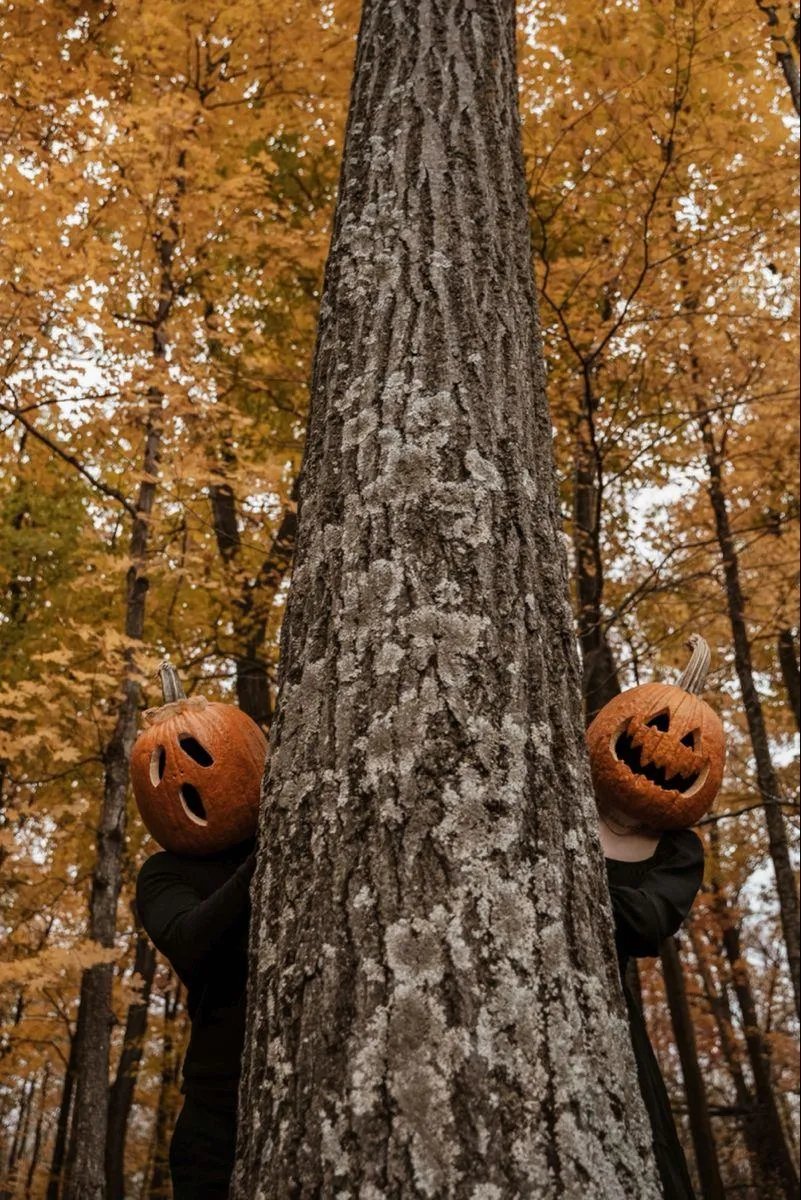 Two Jack o Lanterns Hiding in a Fall Forest Scene image