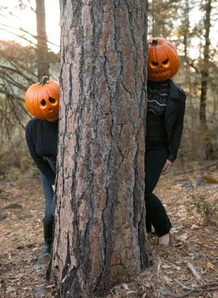 Two People Peeking from Behind Tree Wearing Pumpkin Heads