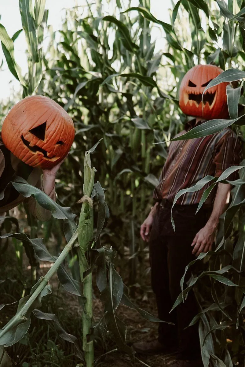 Two People Wearing creepy Pumpkin Heads in Cornfield image