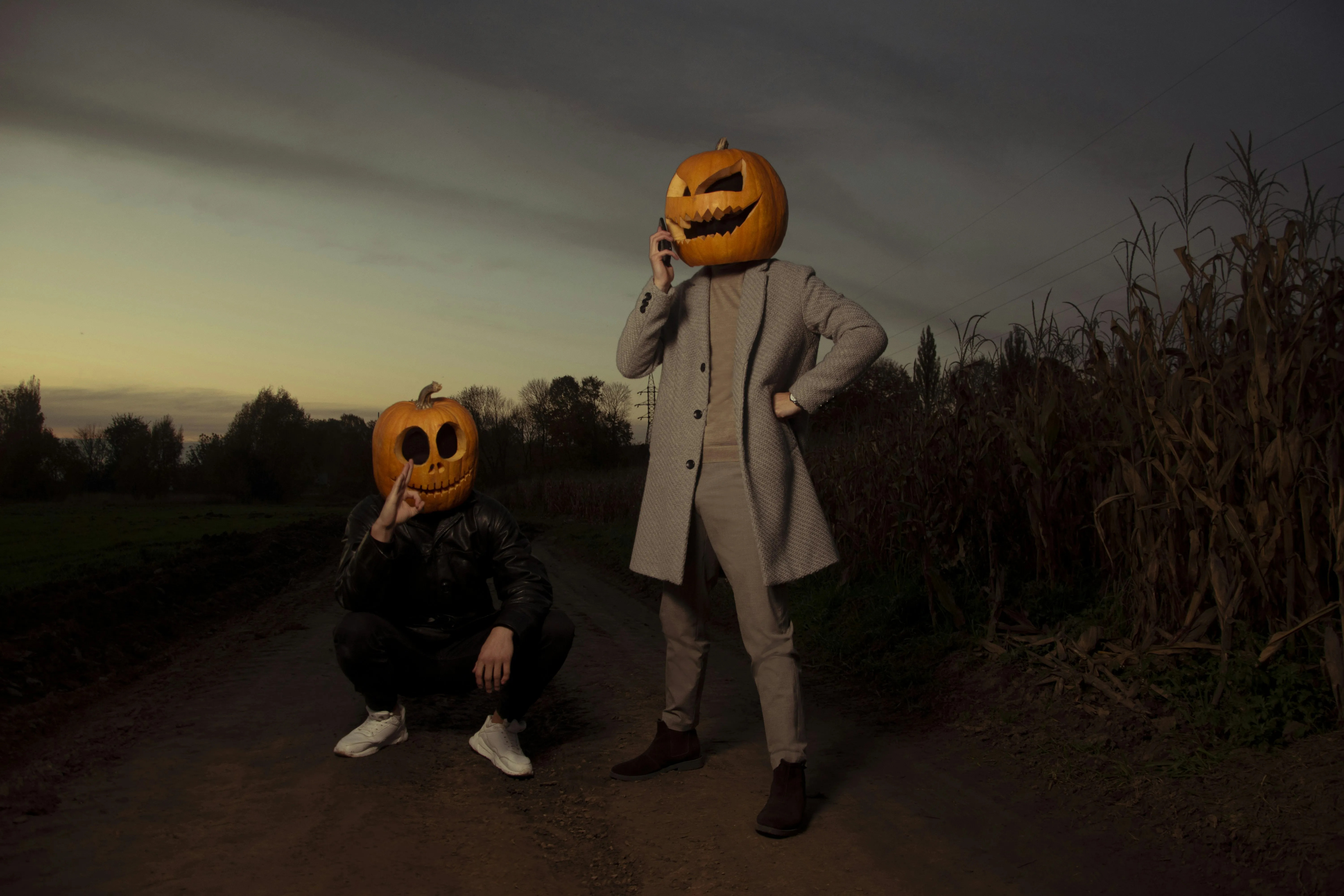 Two People Wearing Pumpkin Head Costumes in Field image