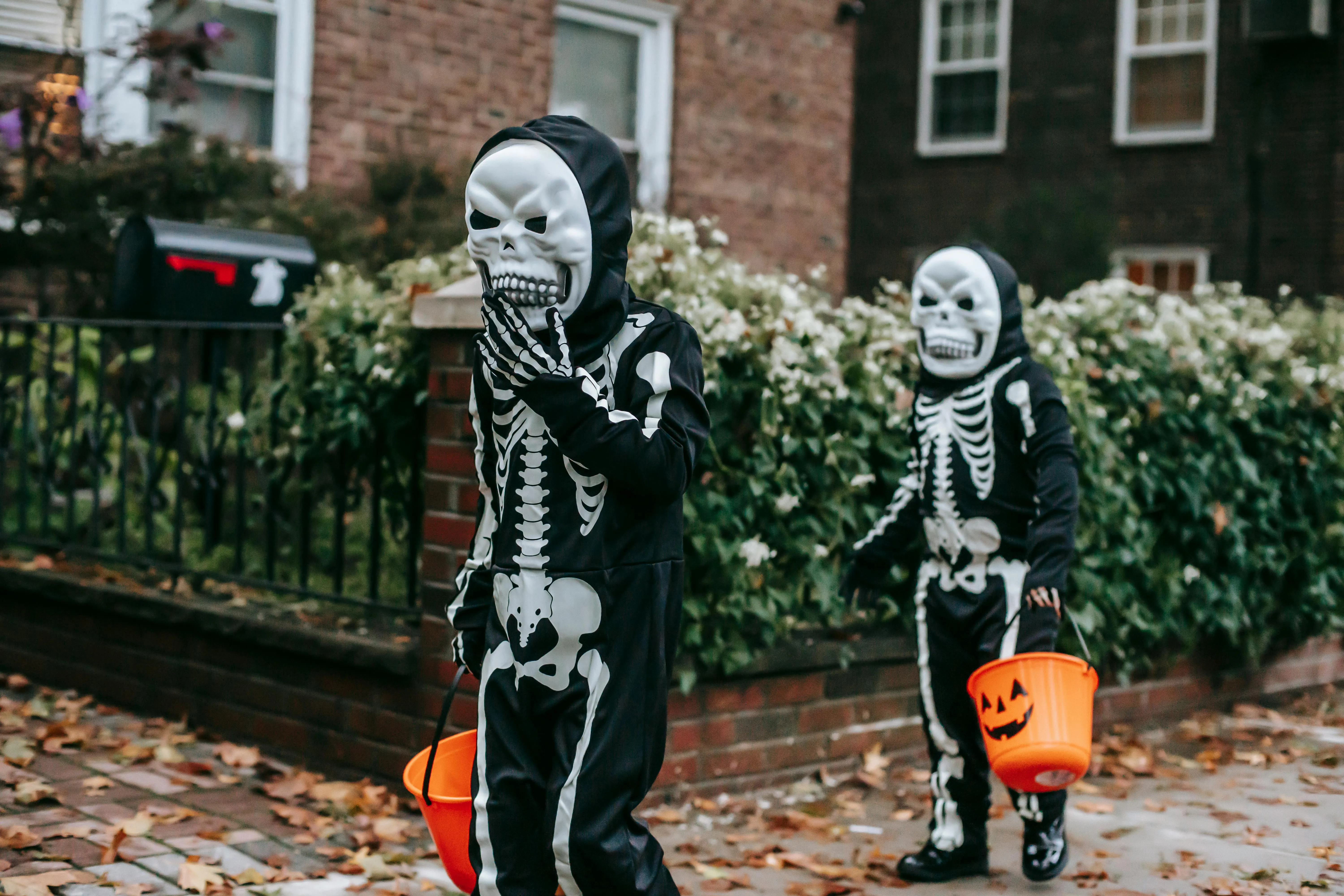 Two People Wearing Skeleton Costumes Holding Pumpkin