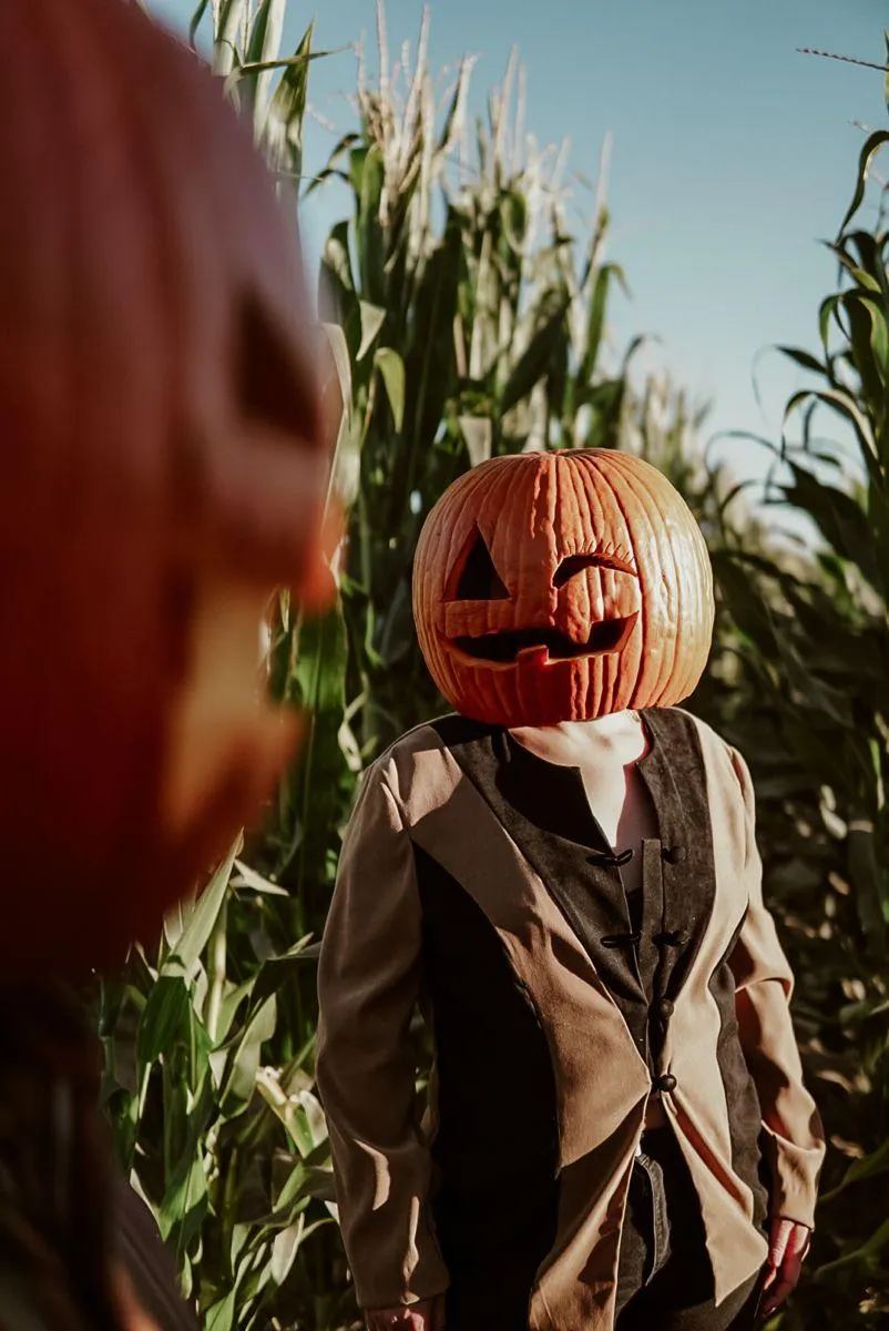 Two person standing in cornfield with pumpkin head image