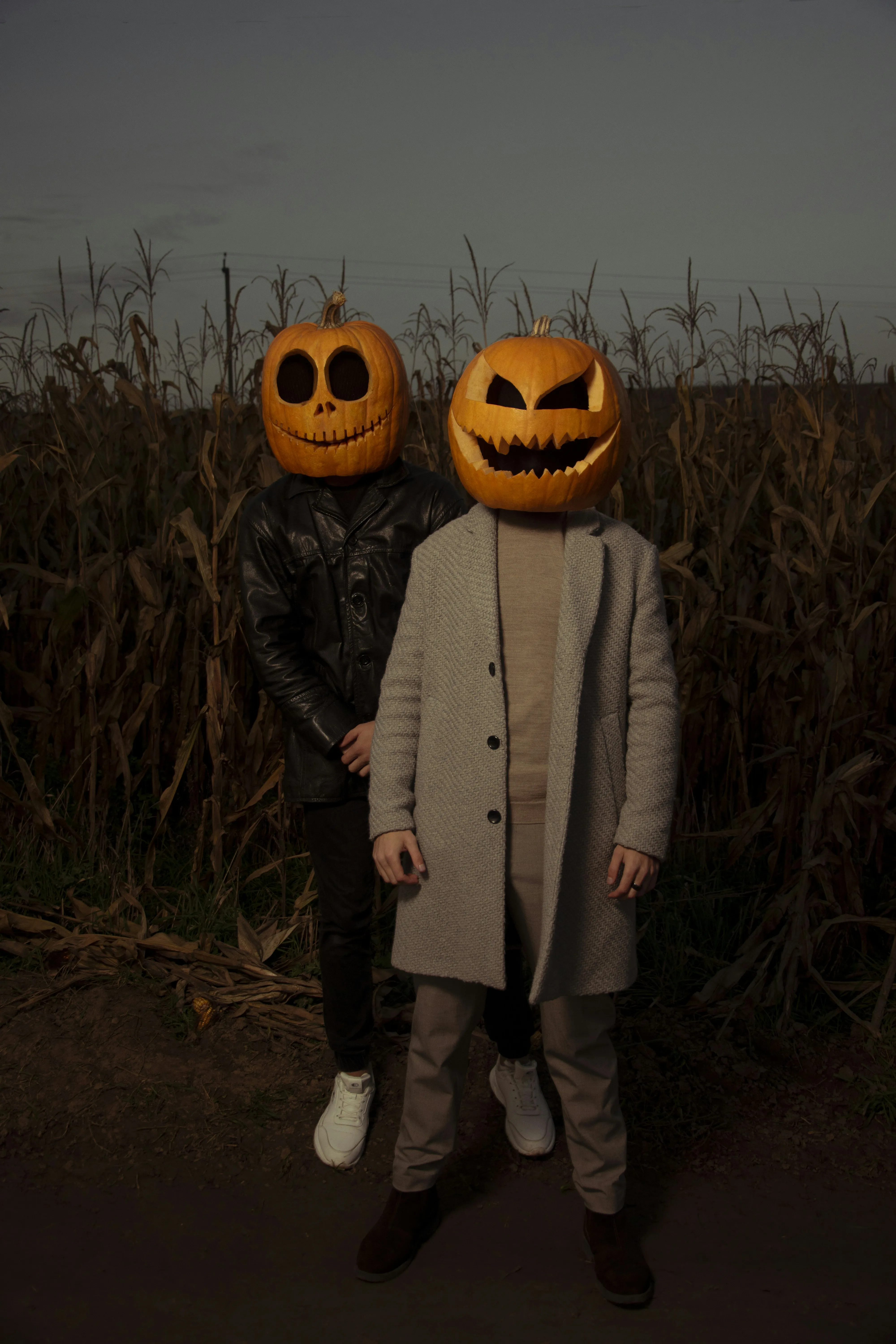 Two Pumpkin Head Figures Standing in Spooky Setting Image
