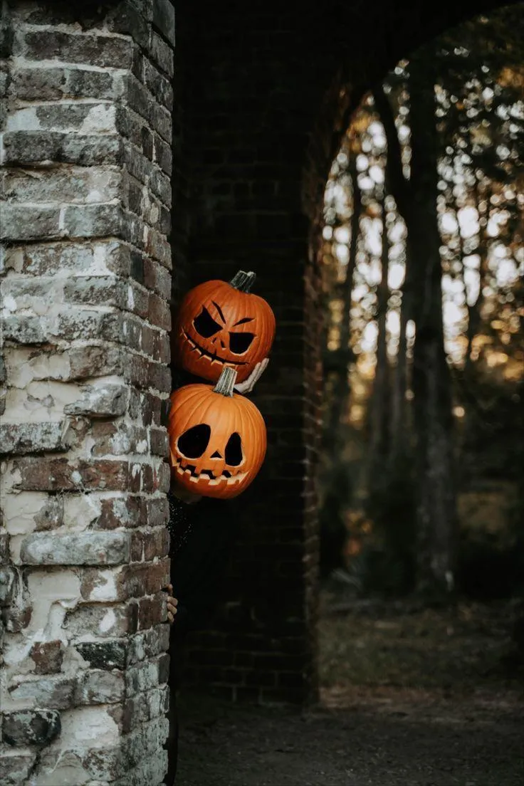 Two Pumpkins Hanging peeking out from Wall Wallpaper