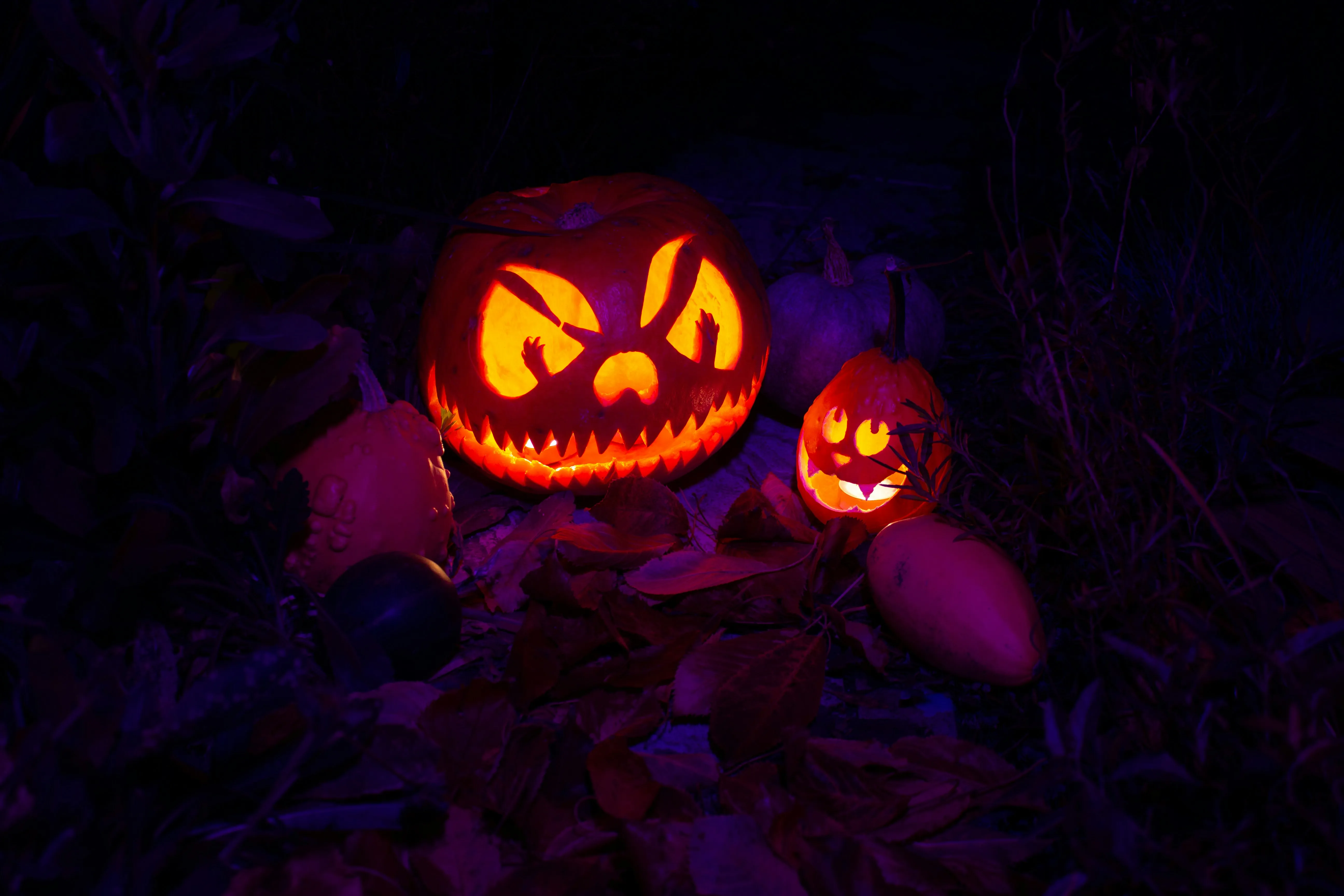 Two Scary Glowing Jack O Lanterns at Night HD Wallpaper