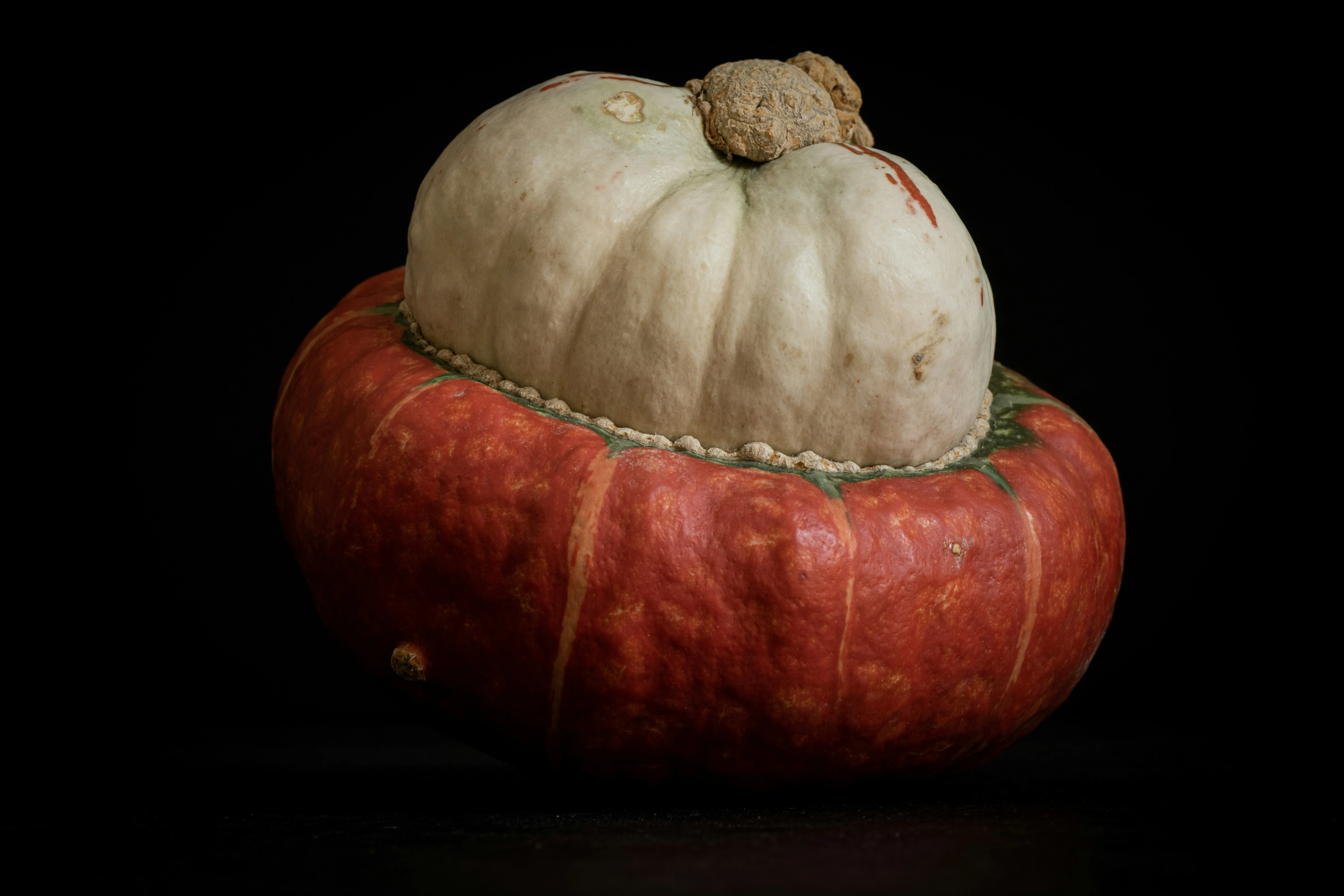 Unusual Red and White Pumpkin on Black Background Image