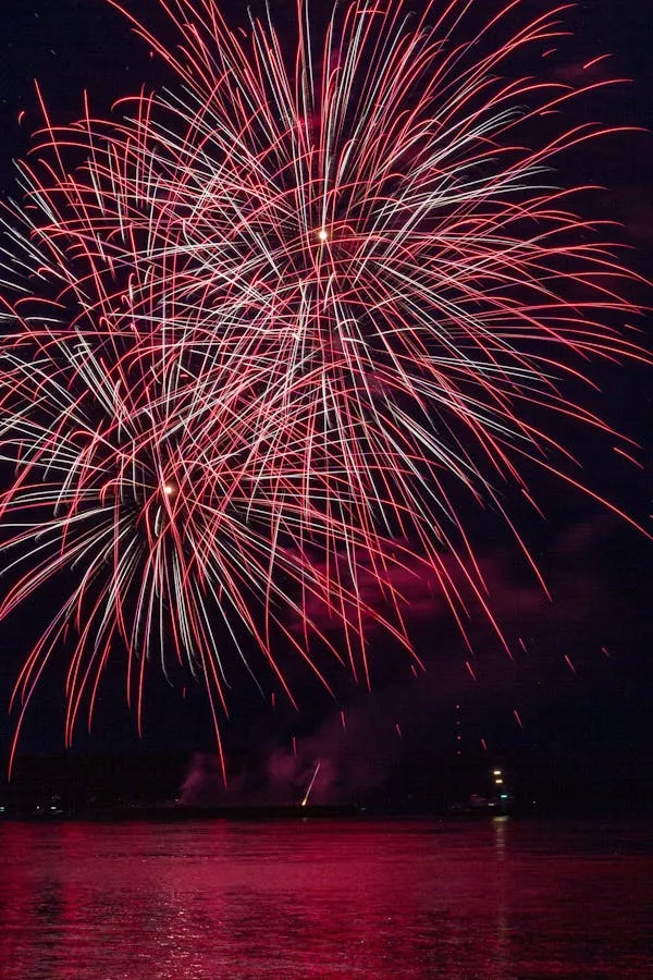 Vibrant burst of fireworks painting the night sky