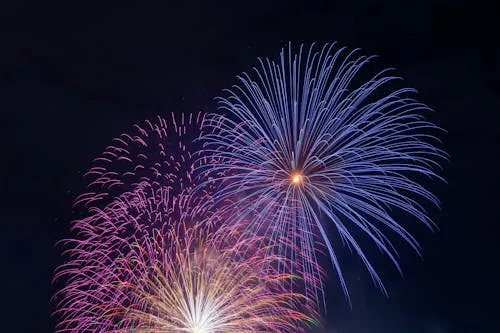 Vibrant Fireworks Exploding in the Night Sky image Wallpaper