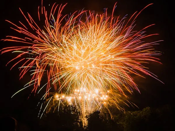 Vibrant Fireworks Exploding over Darkened Sky image