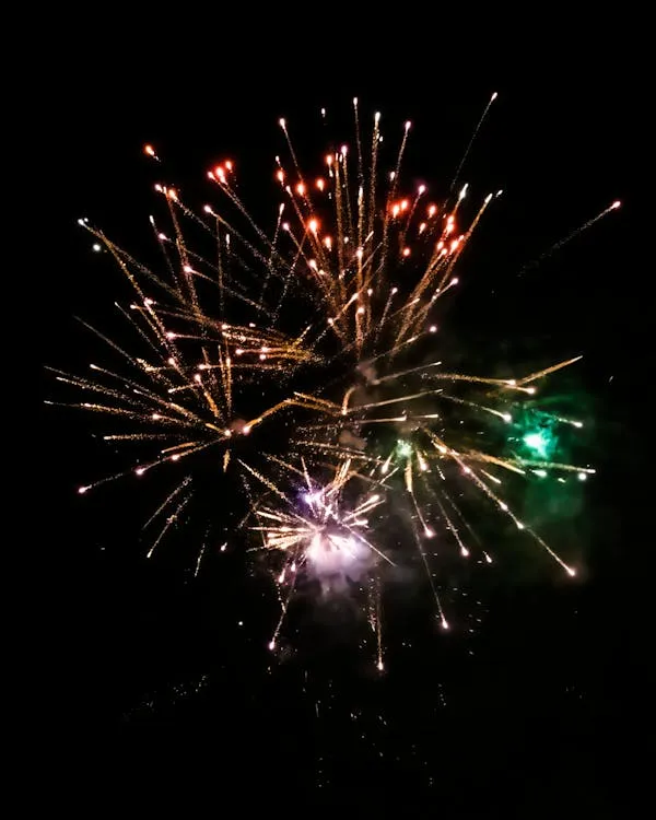 Vibrant Fireworks Illuminating Dark Sky with Bold Colors