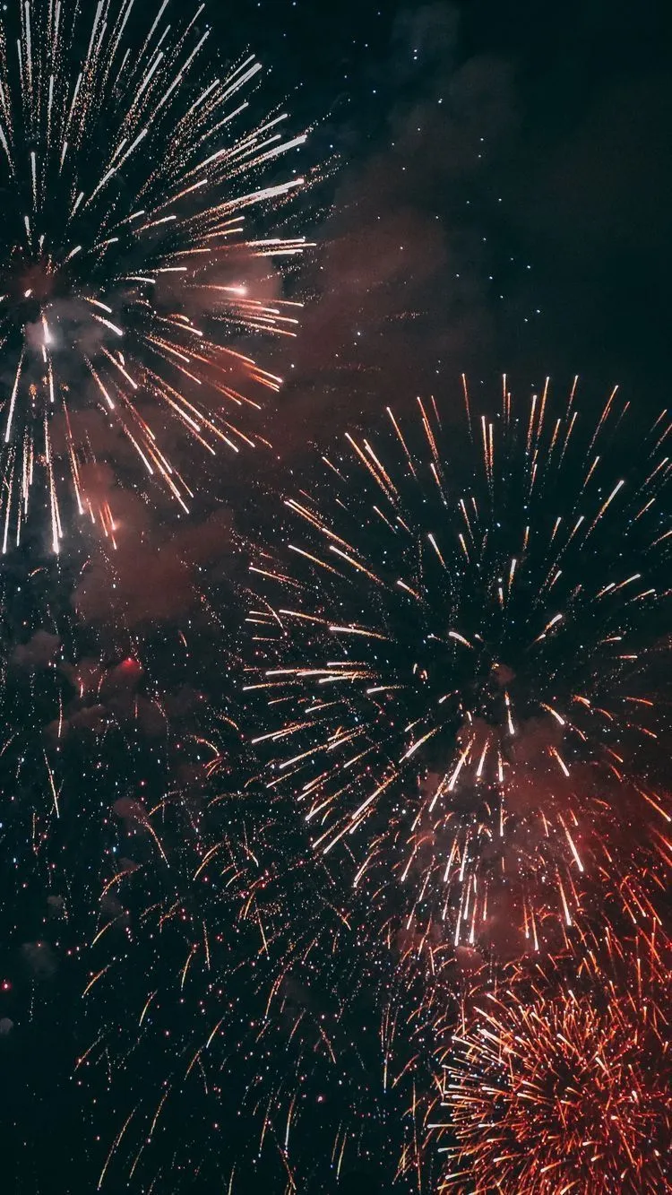 Vibrant fireworks in the night sky with various color patterns