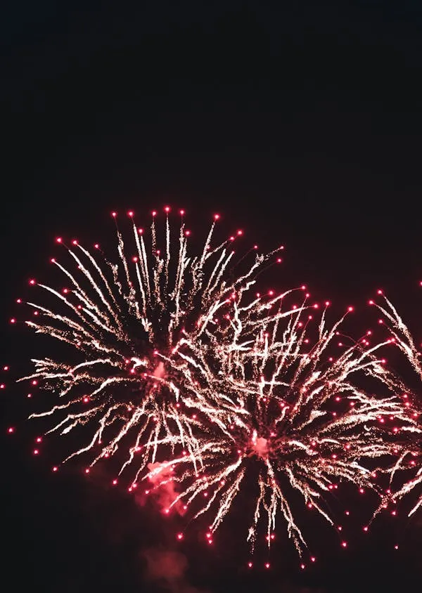Vibrant fireworks in the sky illuminating the night