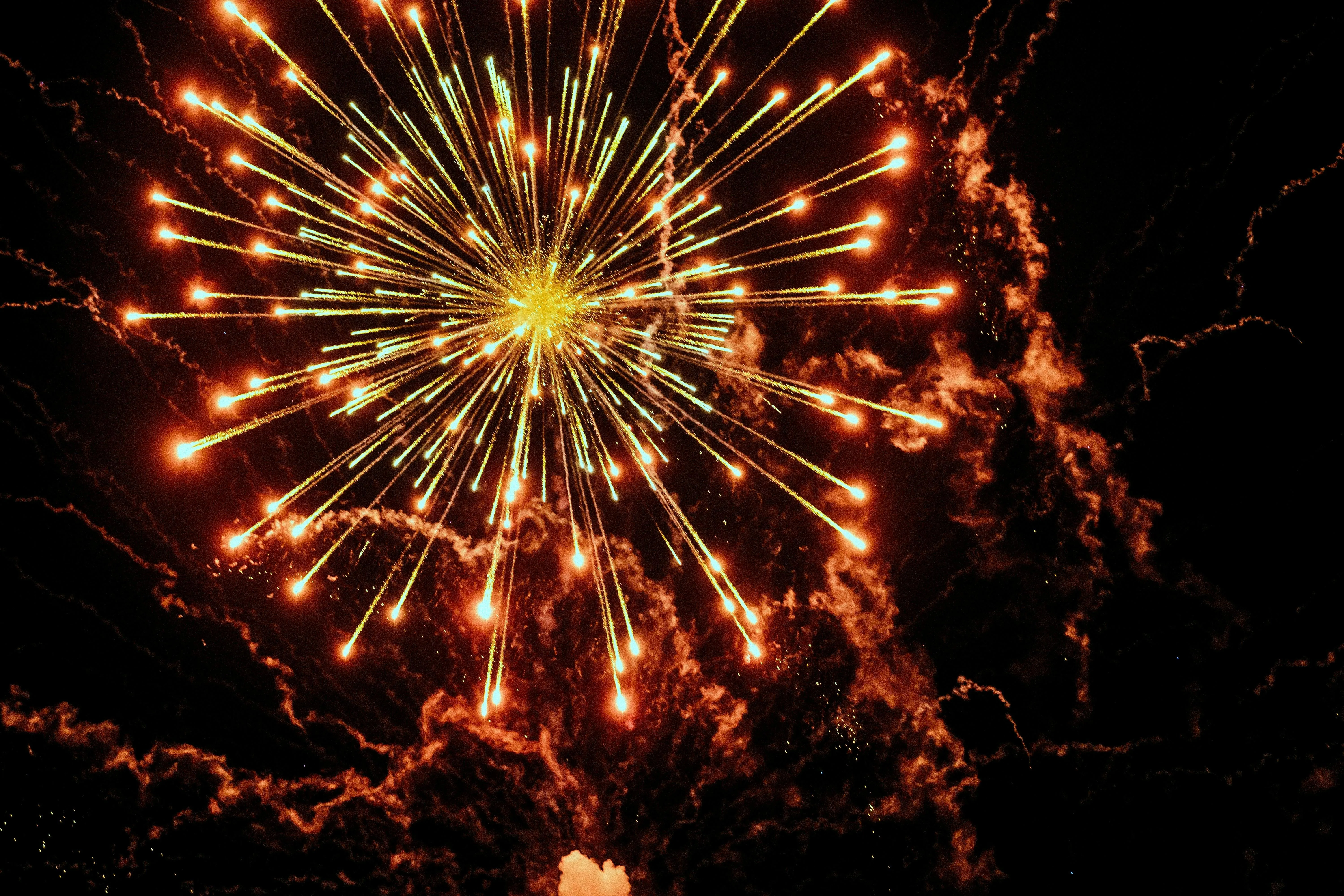 Vibrant Fireworks Lighting up the Night Sky with Brightness