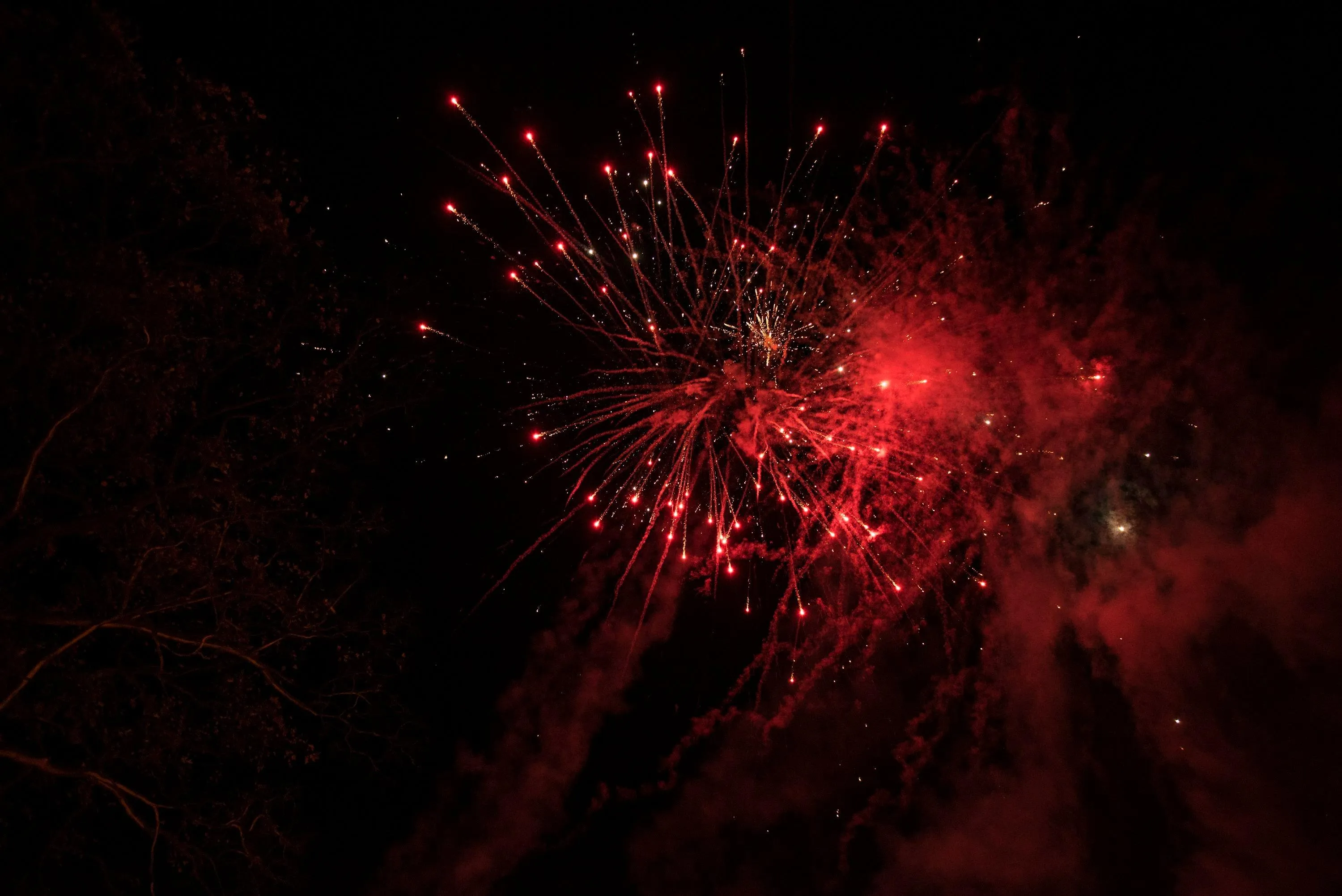 Vibrant Red Fireworks Lighting up the Night Sky Wallpaper